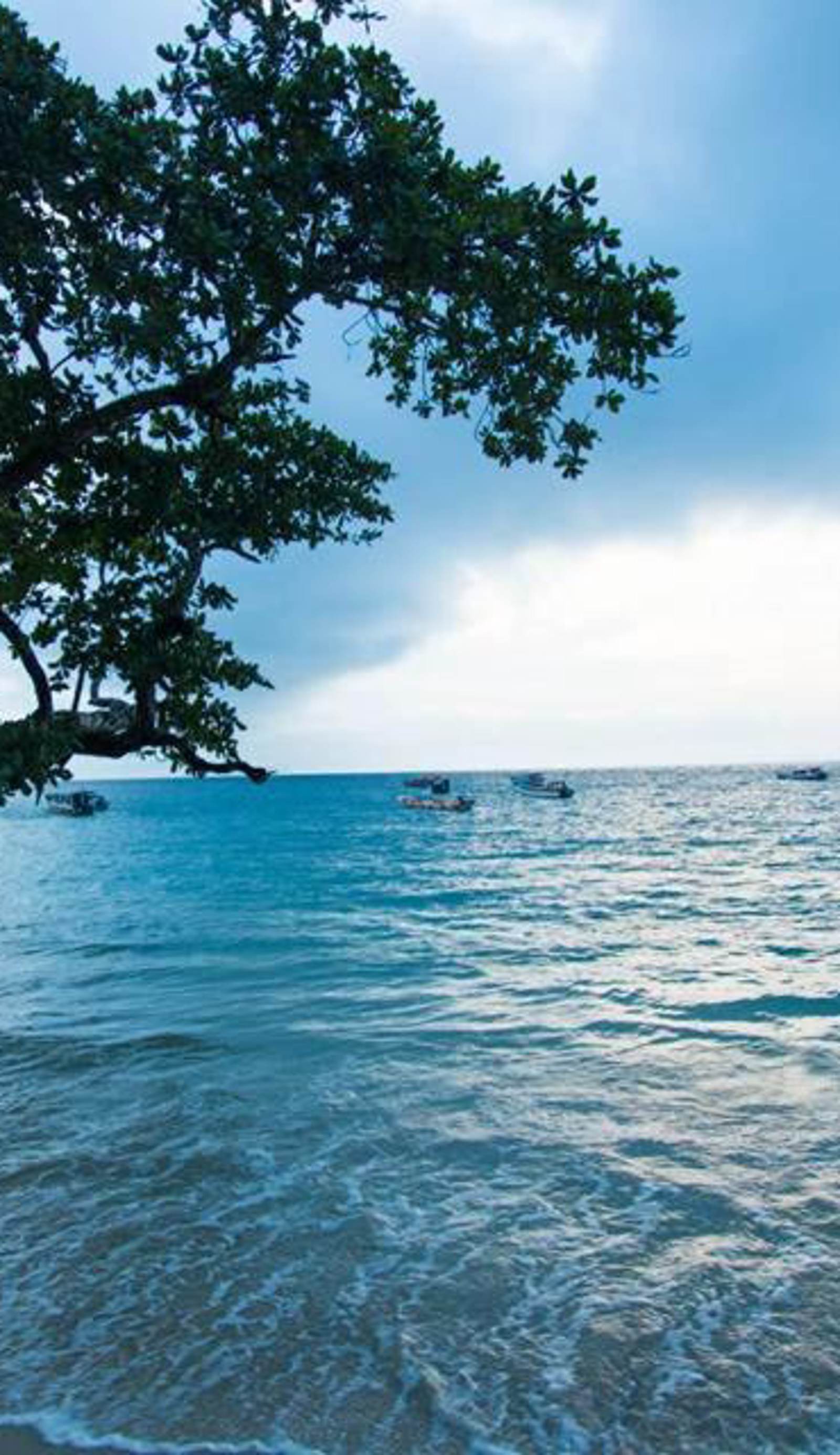 Mentawai Ebay Playground Surfcamp