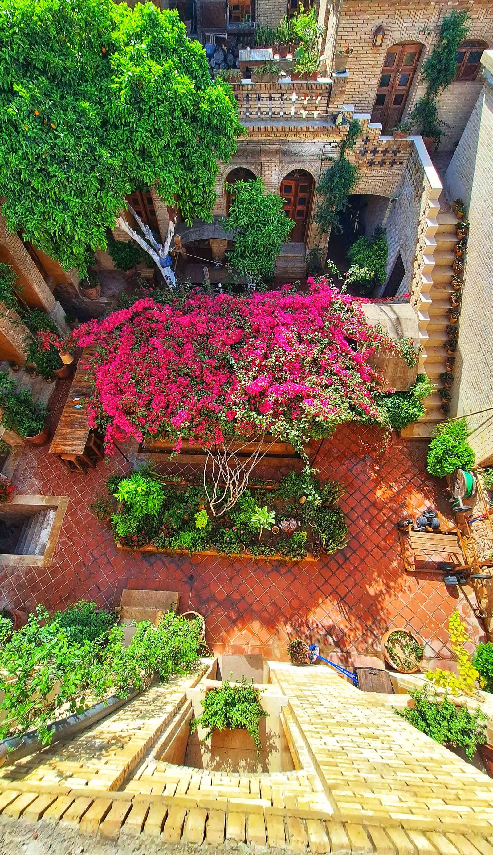 Seven Hostel in Shiraz