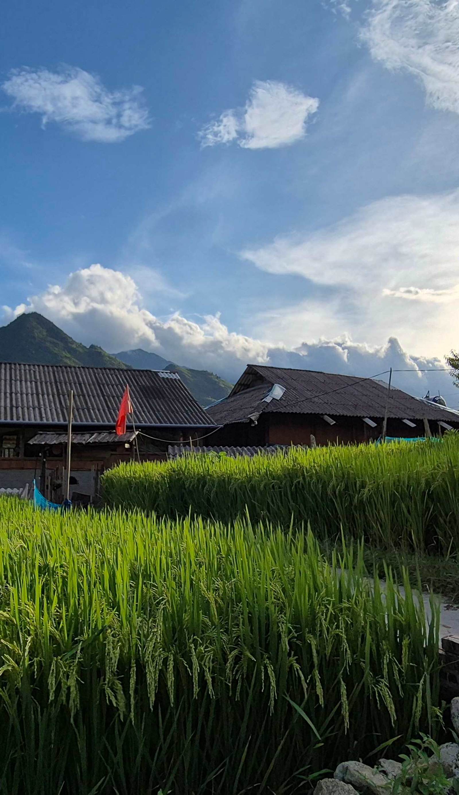 The Zen House Sapa