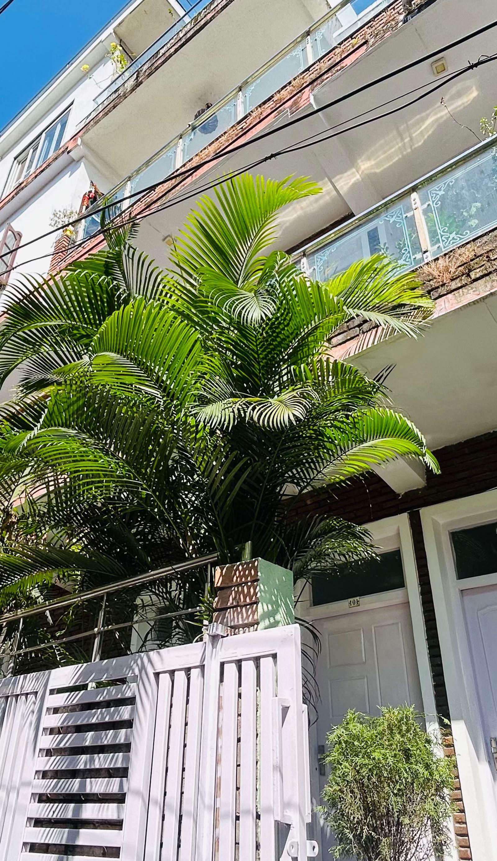Shaanti Hostel