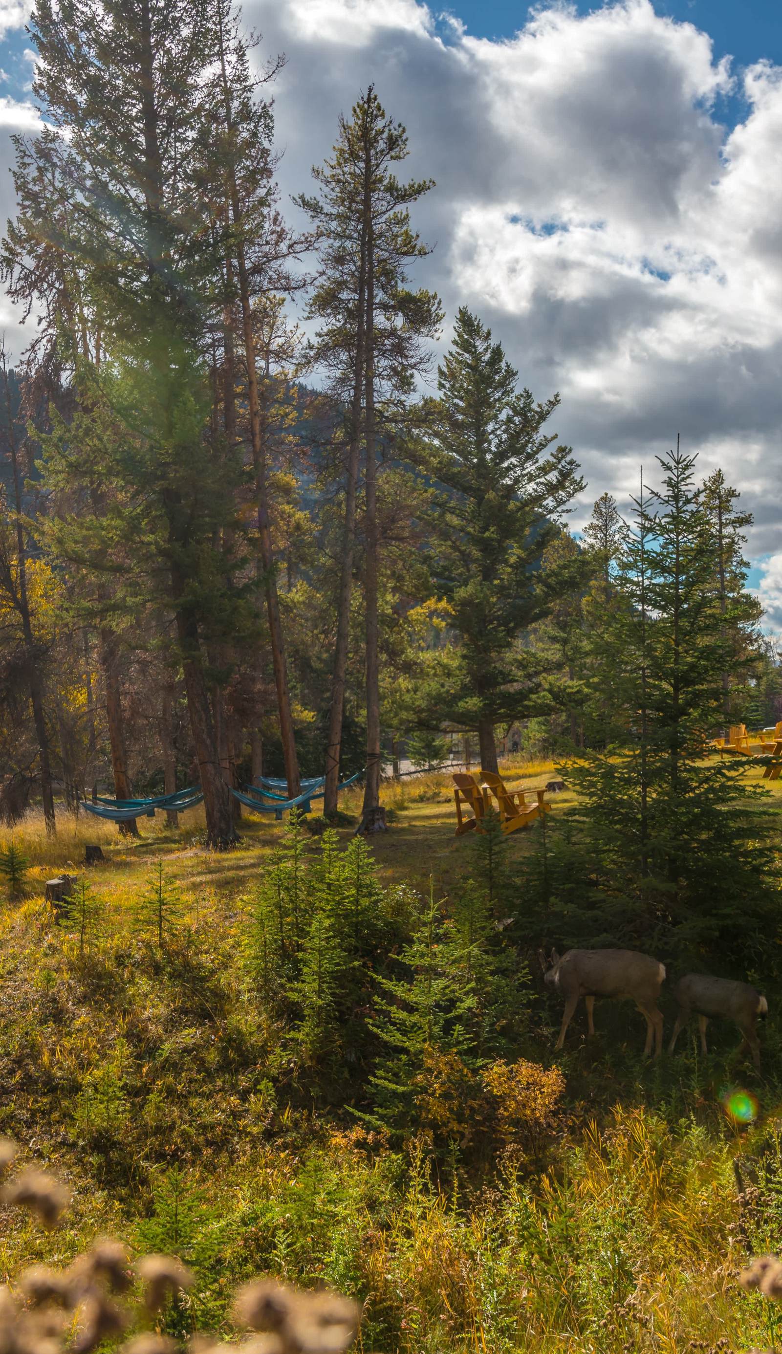 HI Banff Alpine Centre