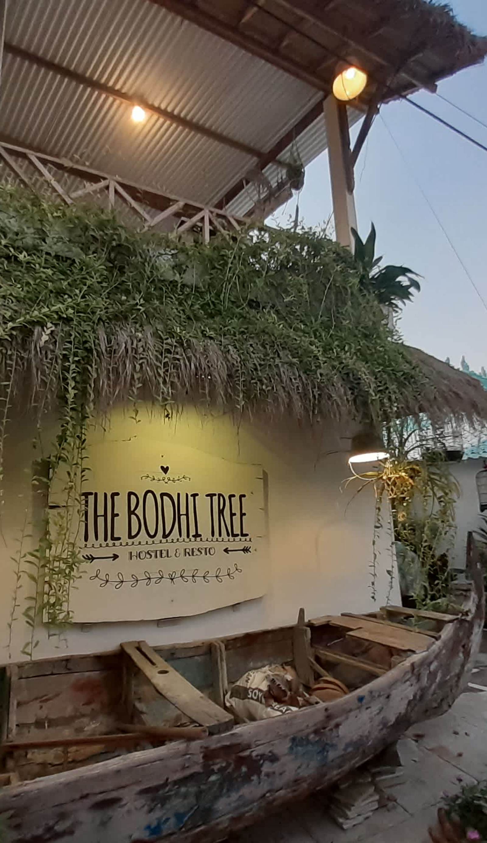 The Bodhi Tree Karimunjawa