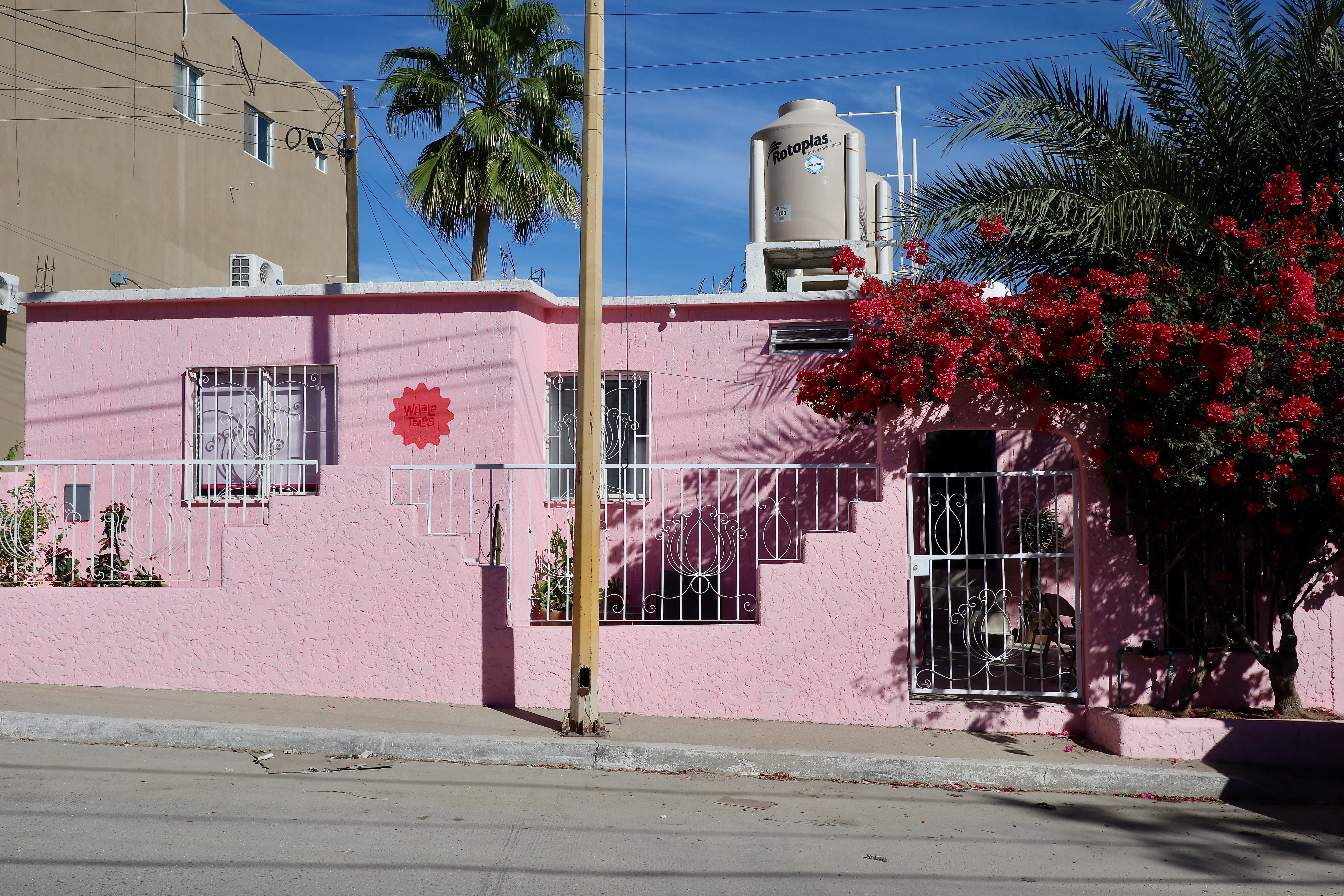 Whale Tales Hostel