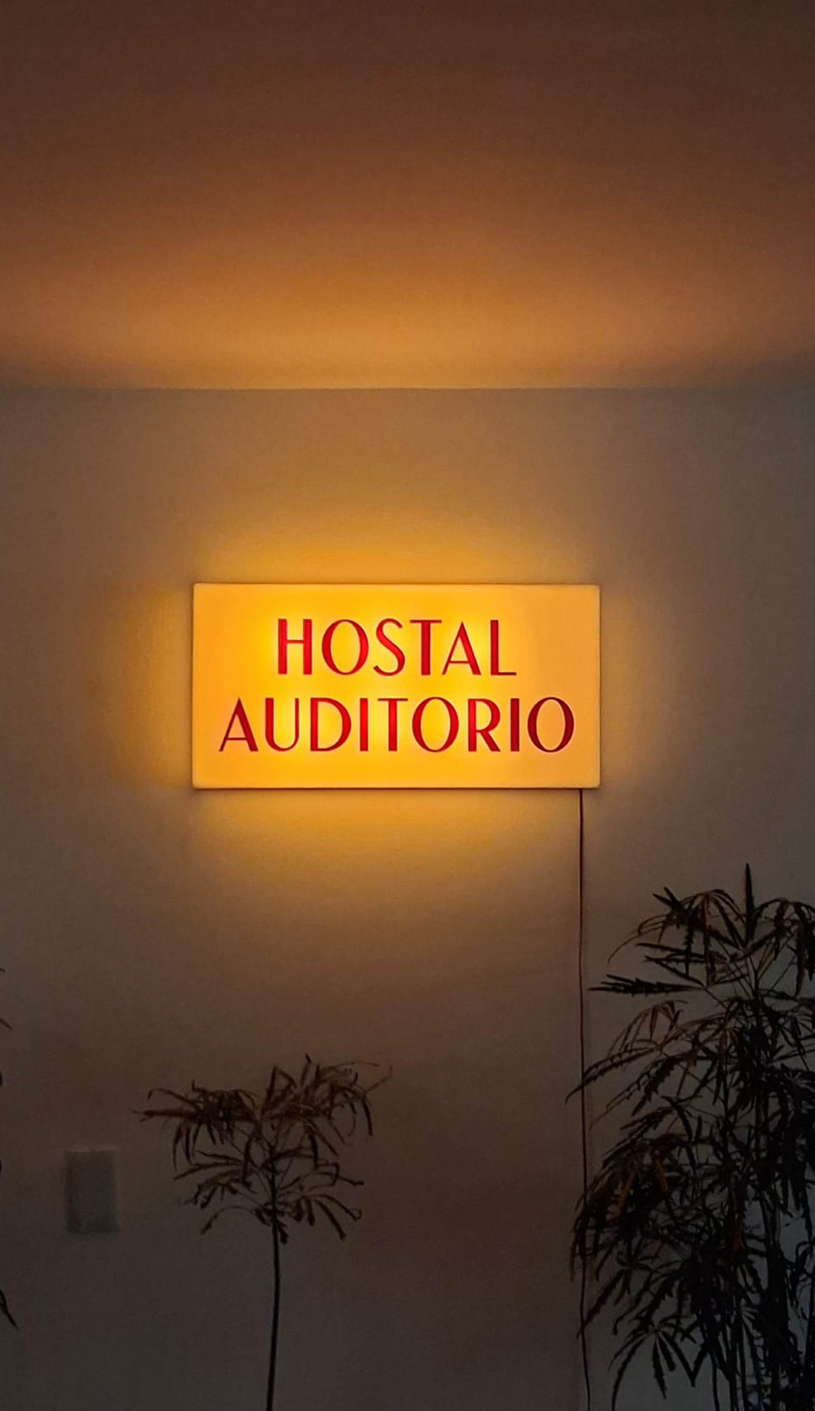 Hostal Auditorio