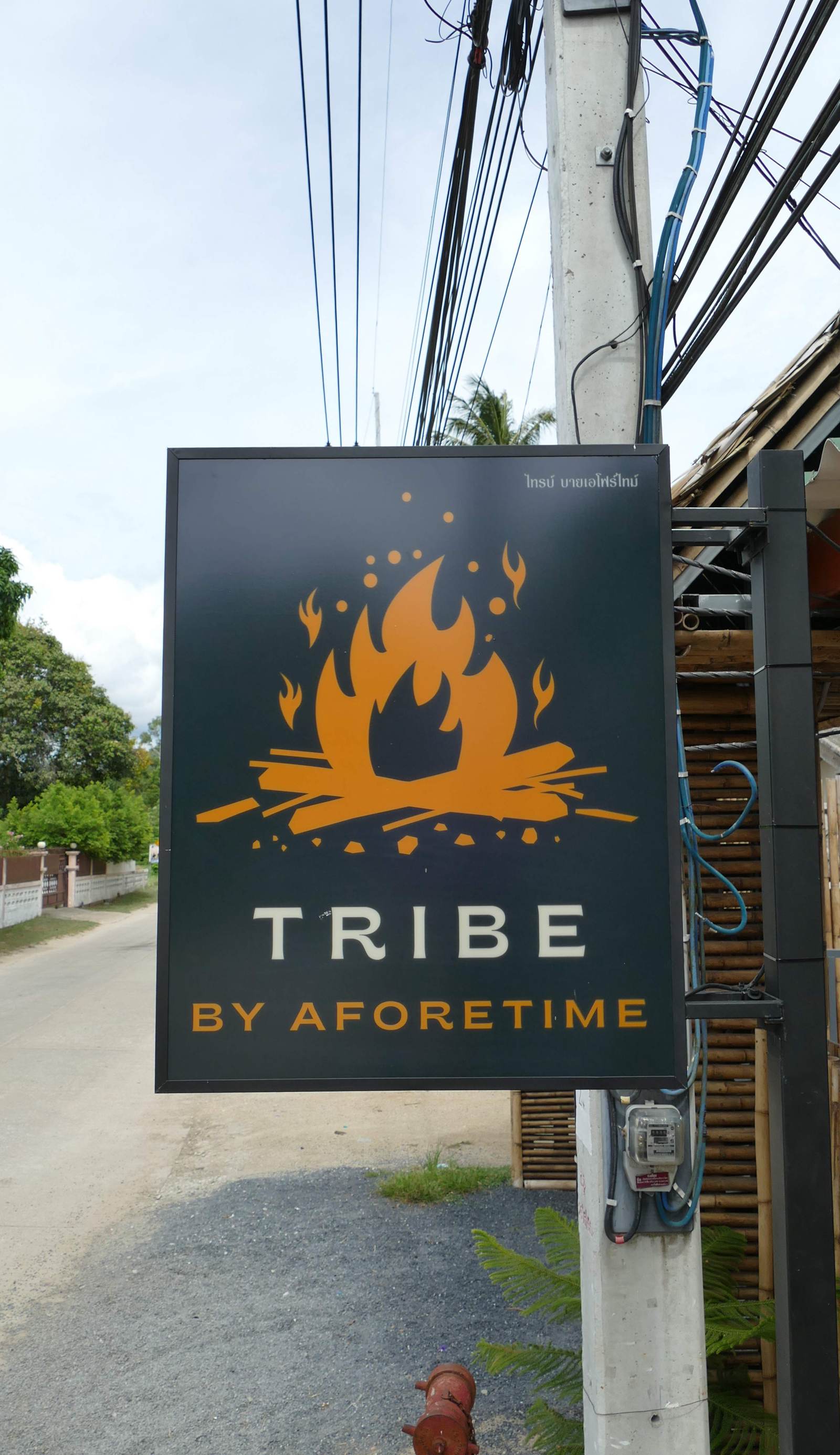 TRIBE by Aforetime