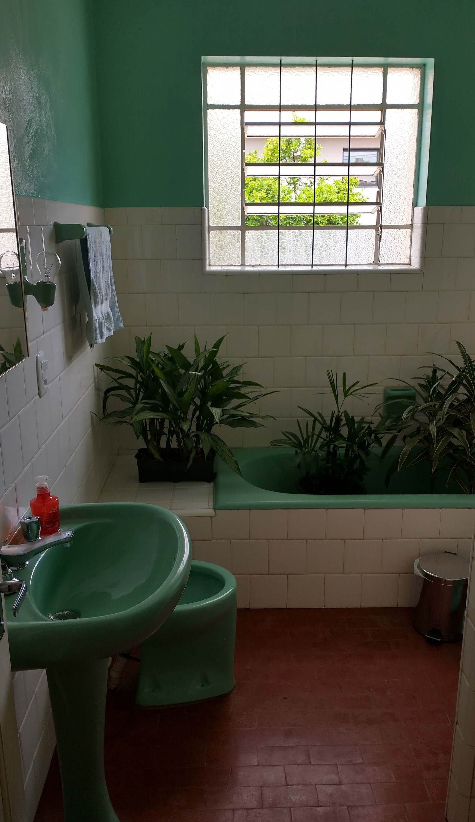 Casarão das Figueiras Hostel