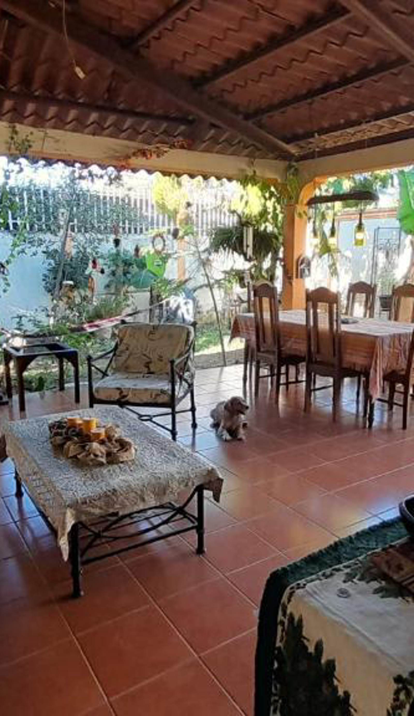 Terraza de Daysi
