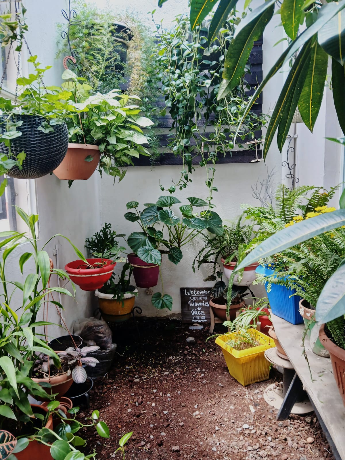La Casa de Olga