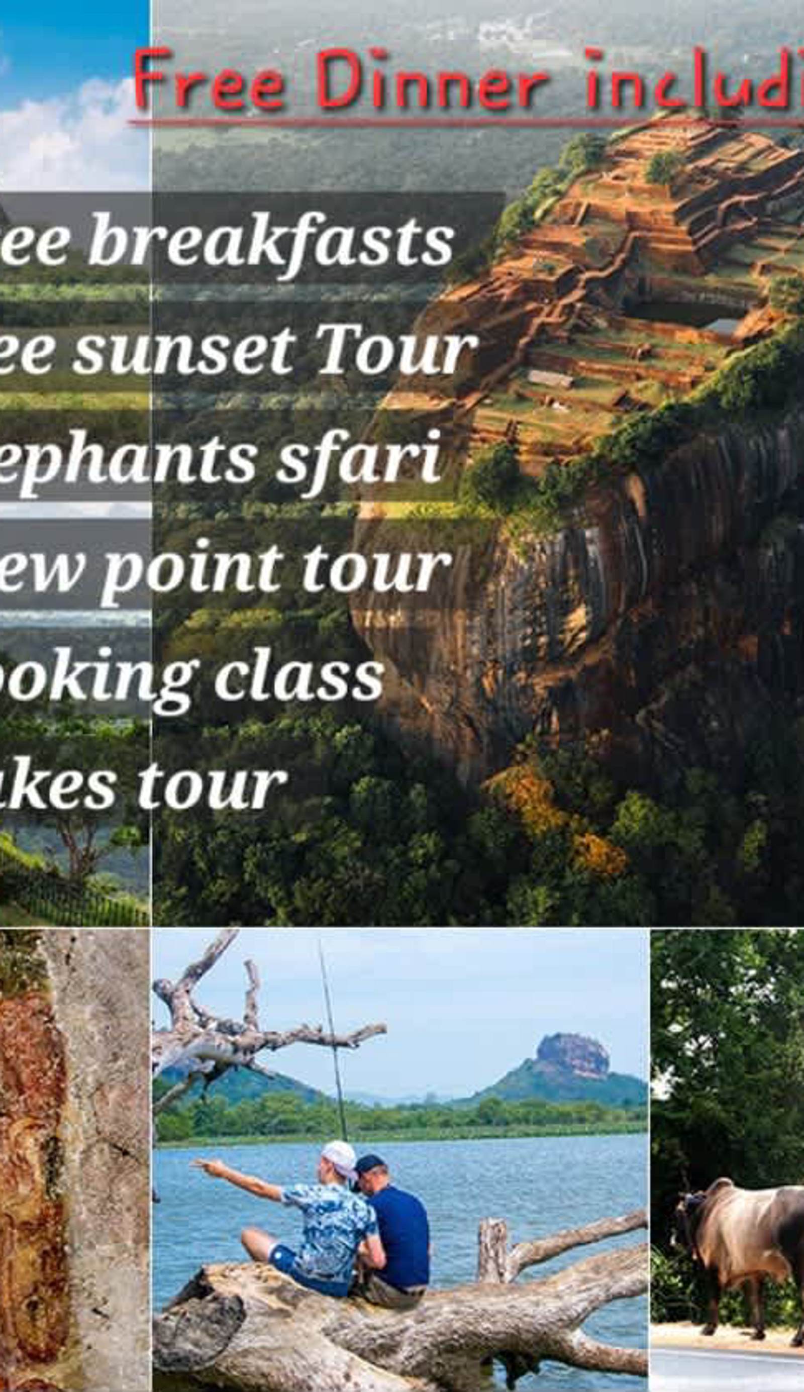 The Travel Tree Hostel