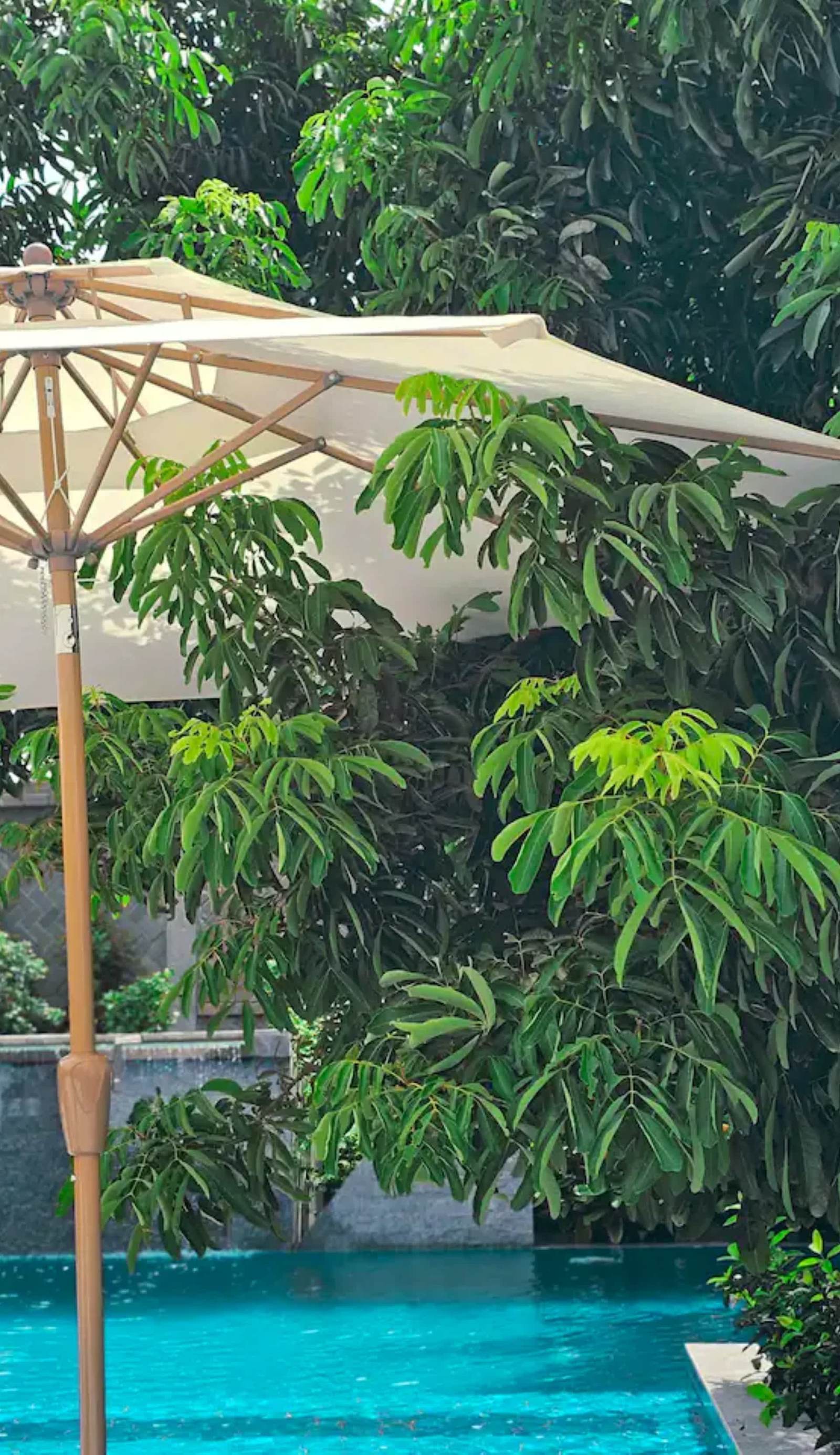 Angkor Rise Hostel