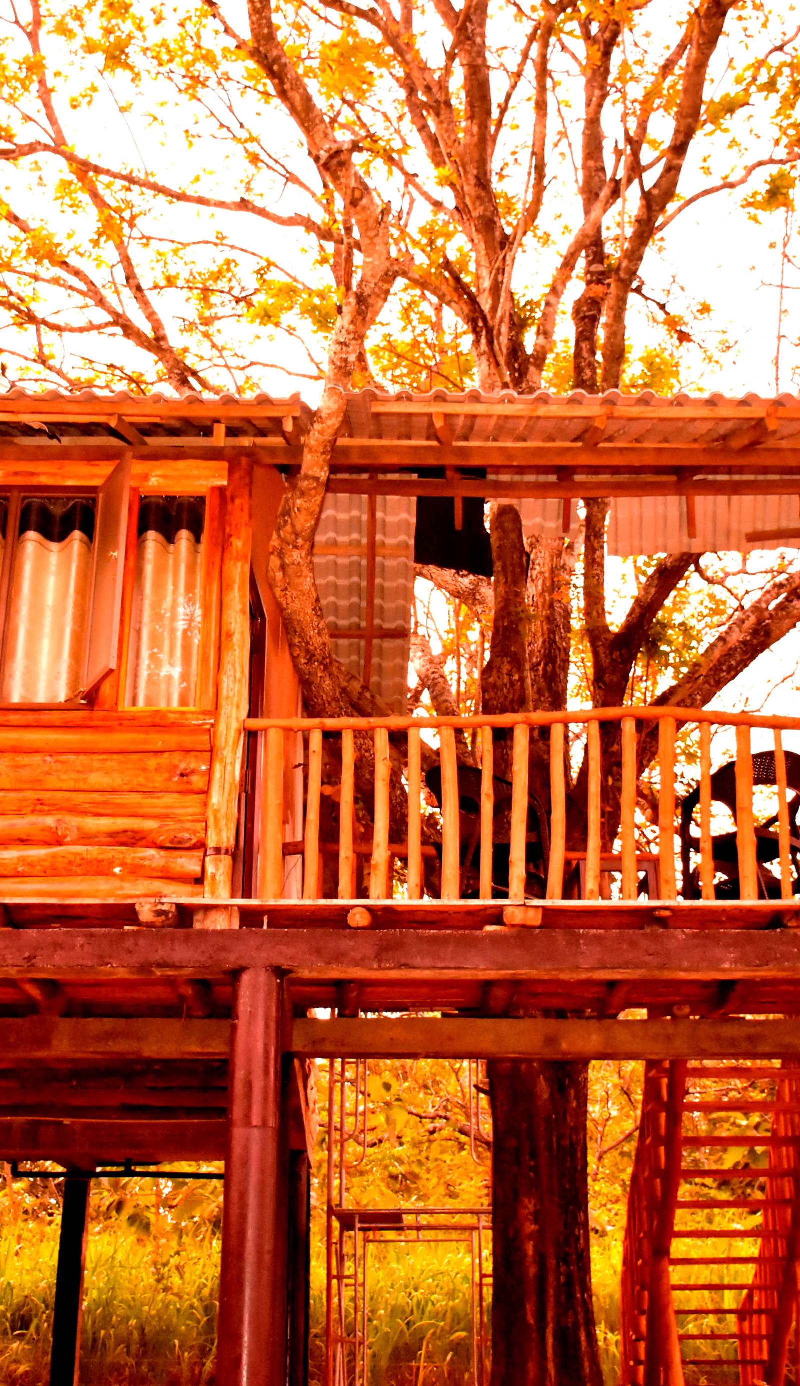 Tree House 4 Nature Lovers