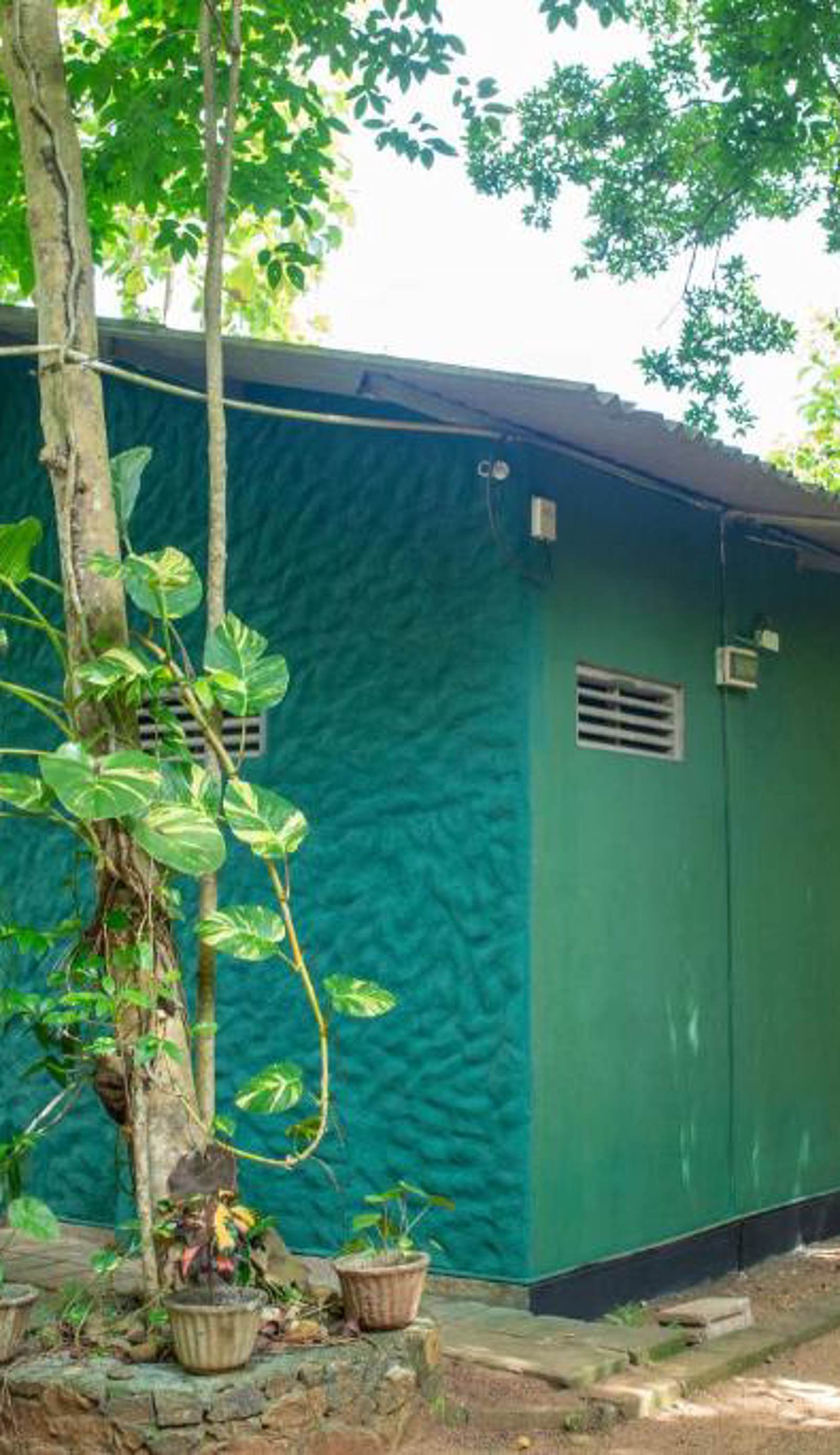 Silent Bungalow