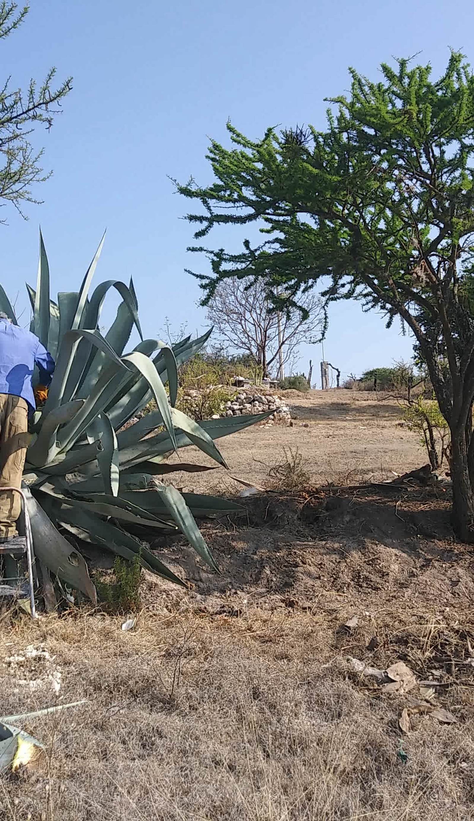 Casa de las Golondrinas -Ecohostal & Campsite-