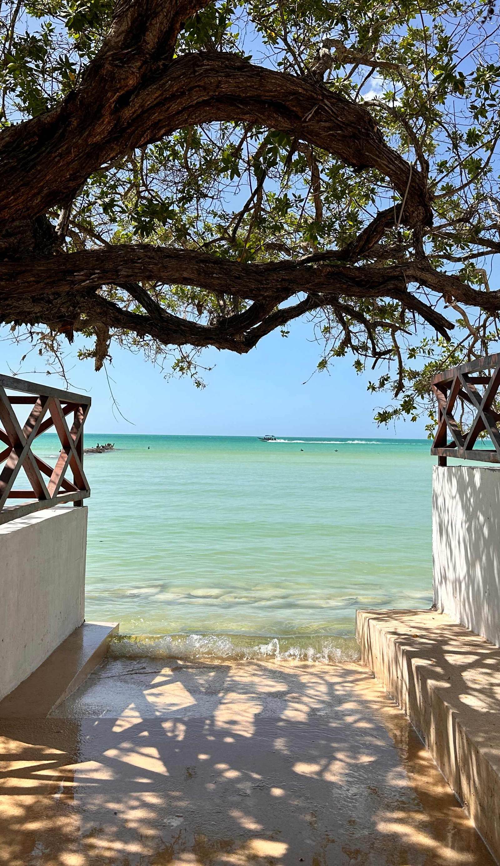 Chobys House Holbox