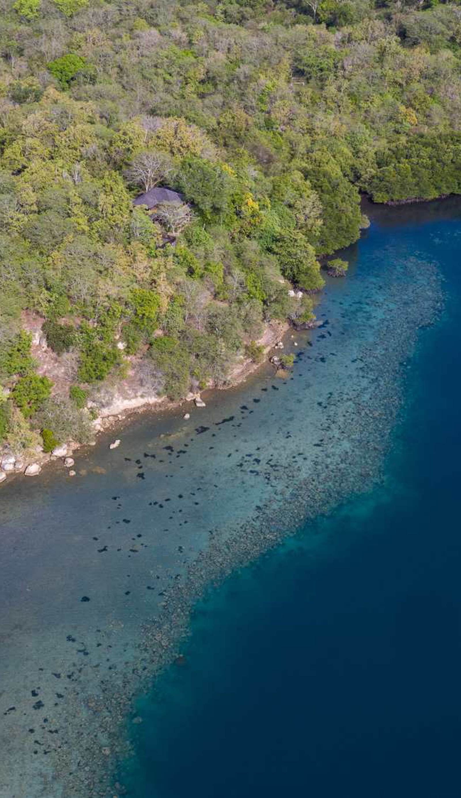 Menjangan Ecolodge