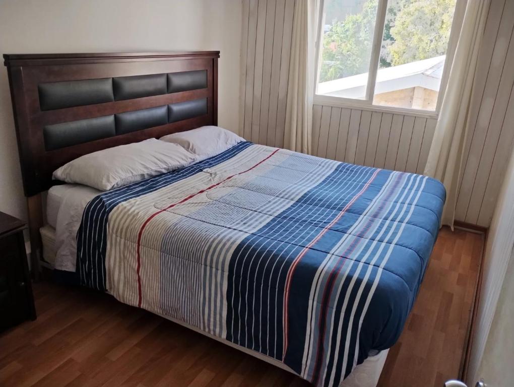 Wild Bellavista Hostel