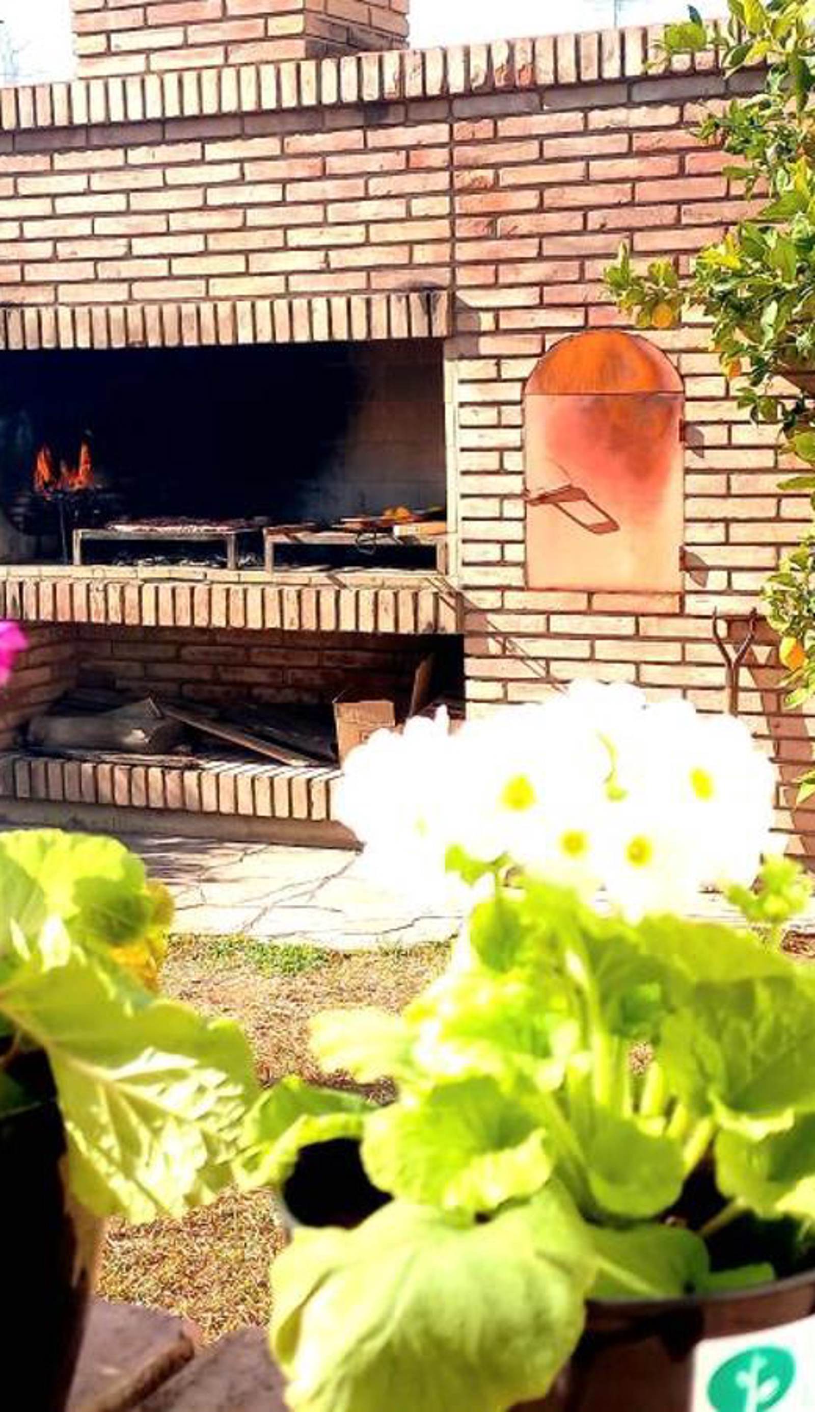 Casa Bravo