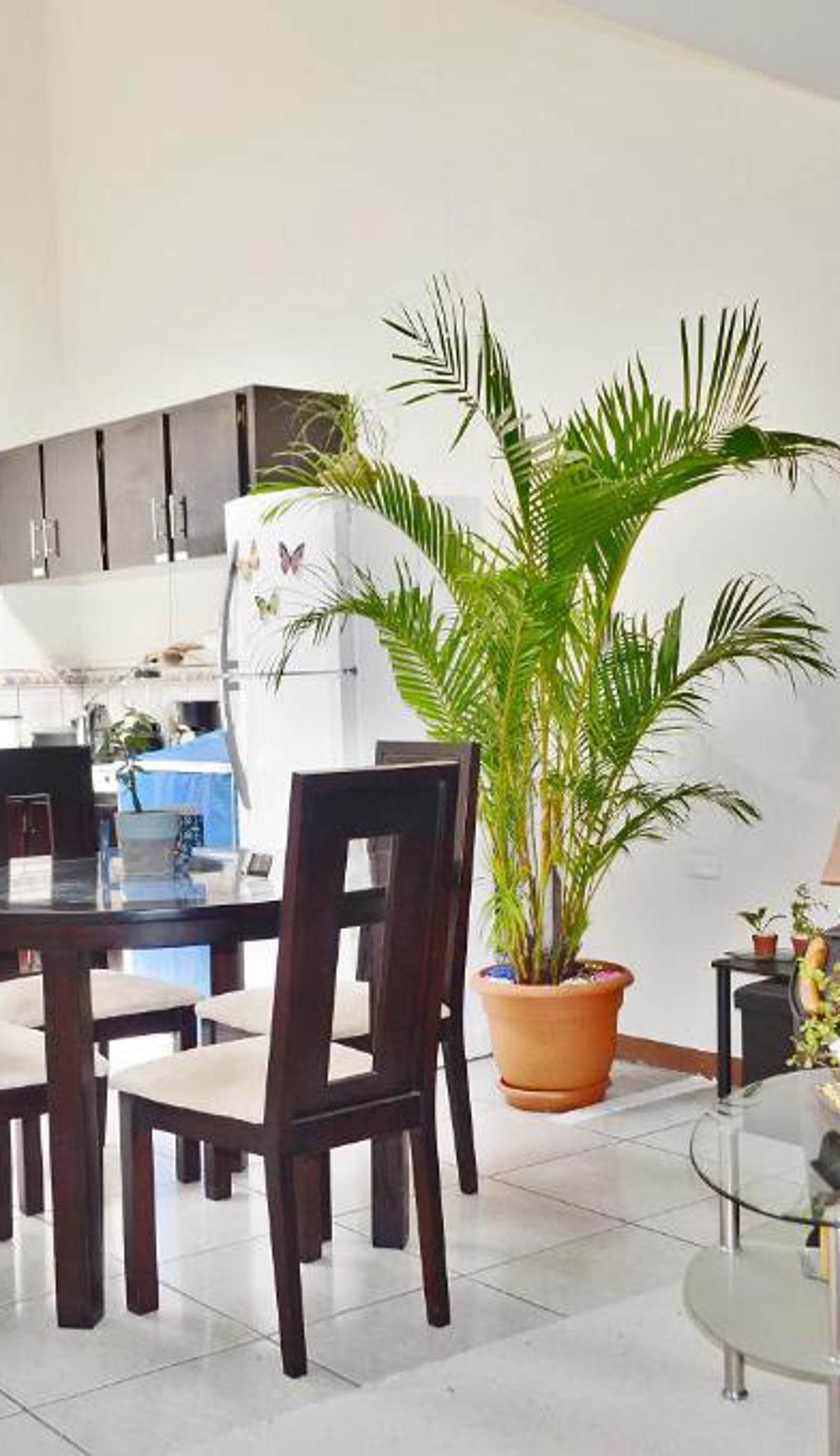 Guesthouse Casa Lapa