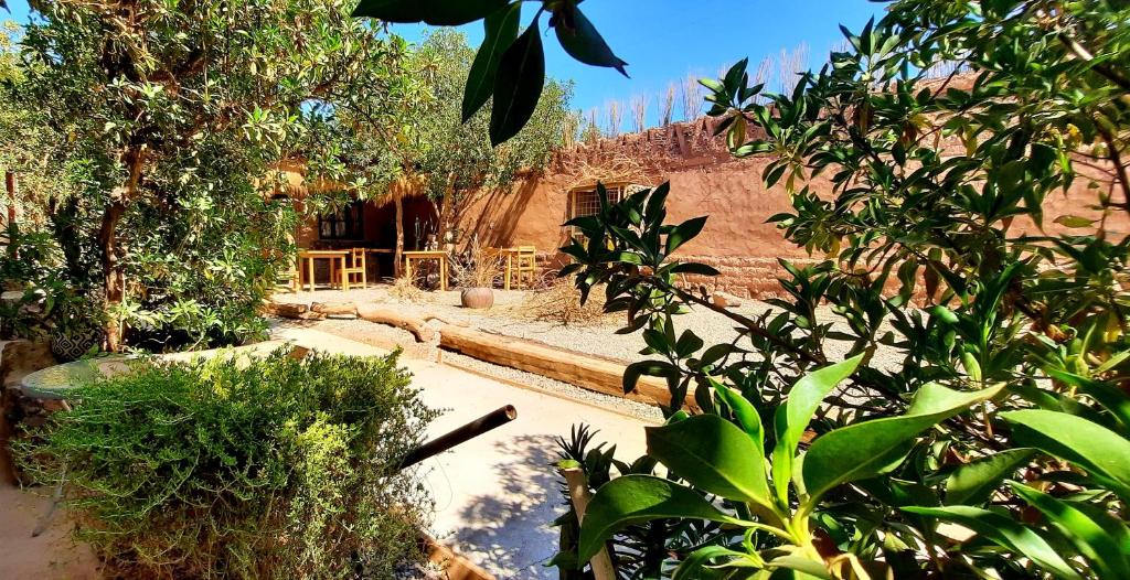 Chill Atacama