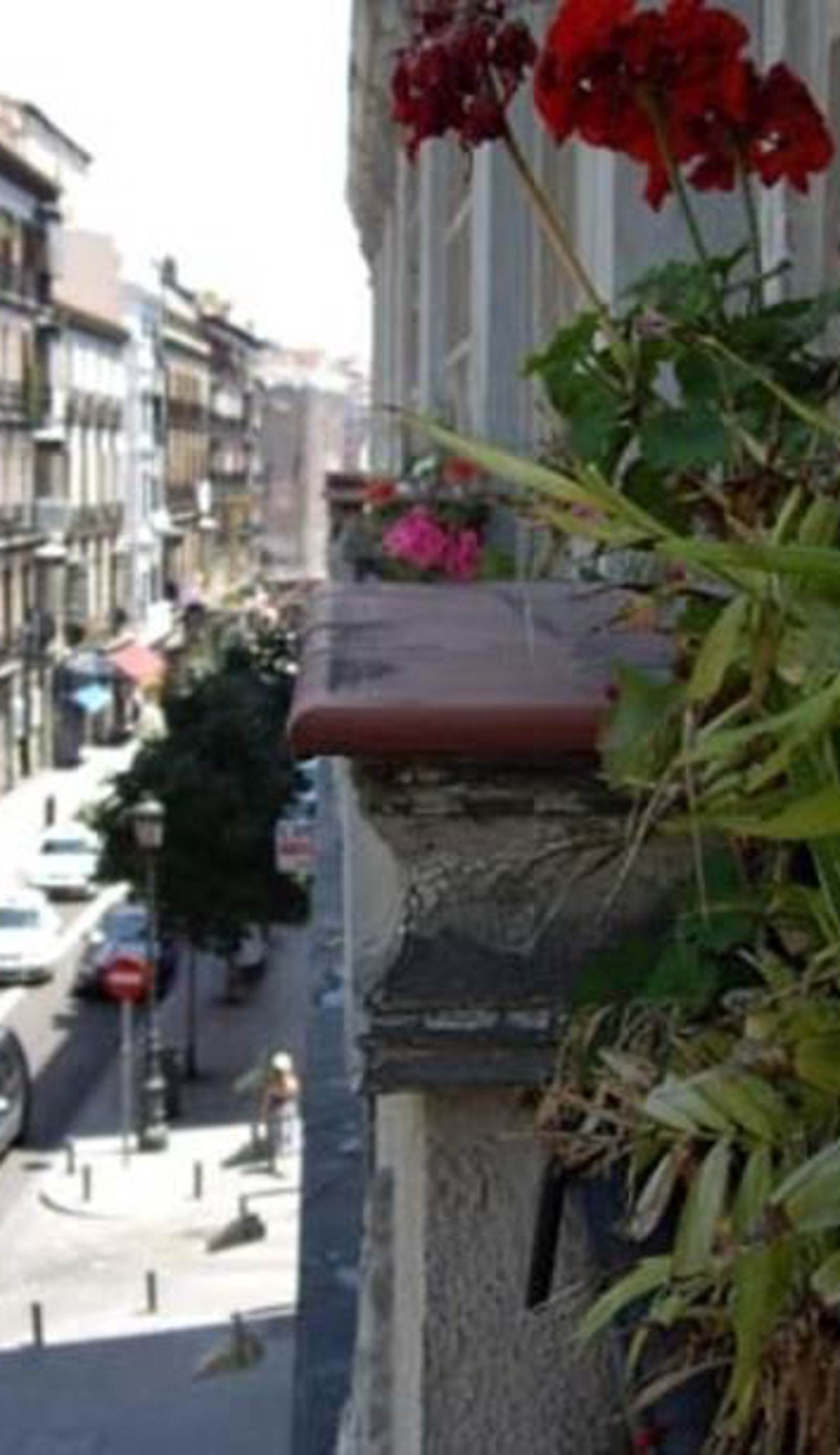 Hostal Pacios