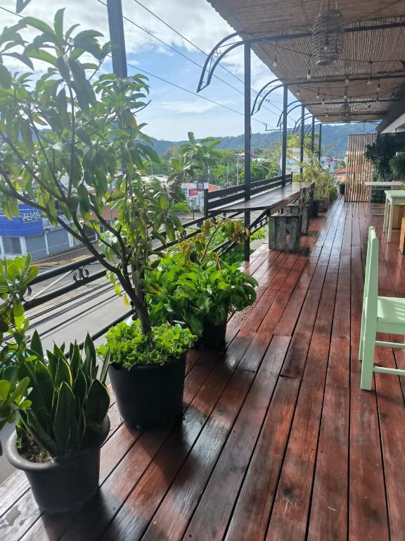 Hostel La Hacienda