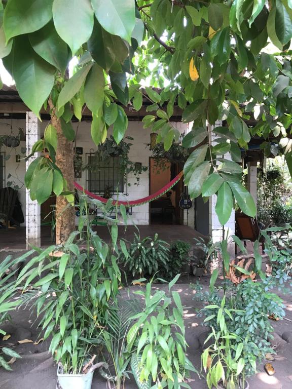 Punta Roca Surf House