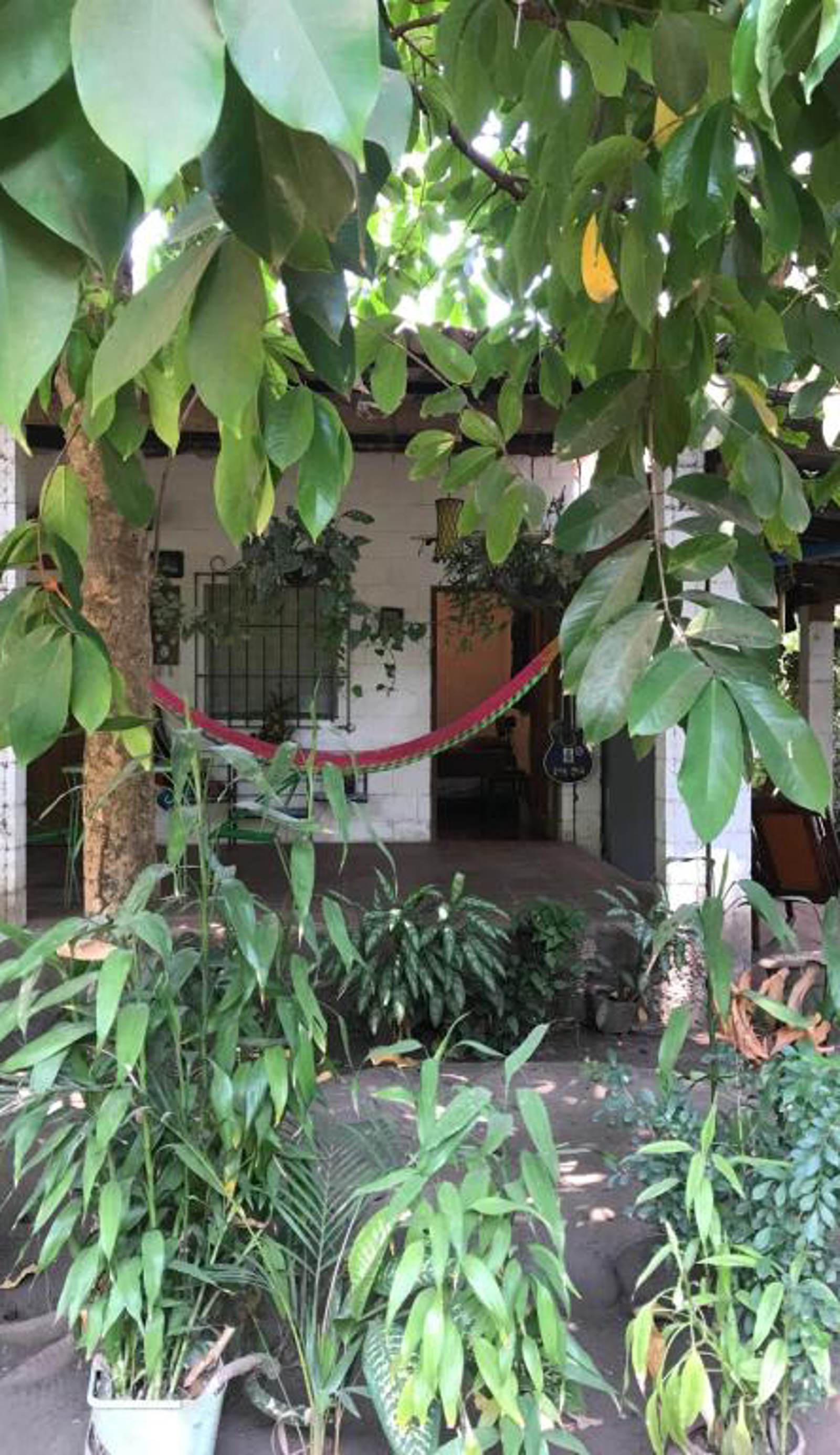 Punta Roca Surf House