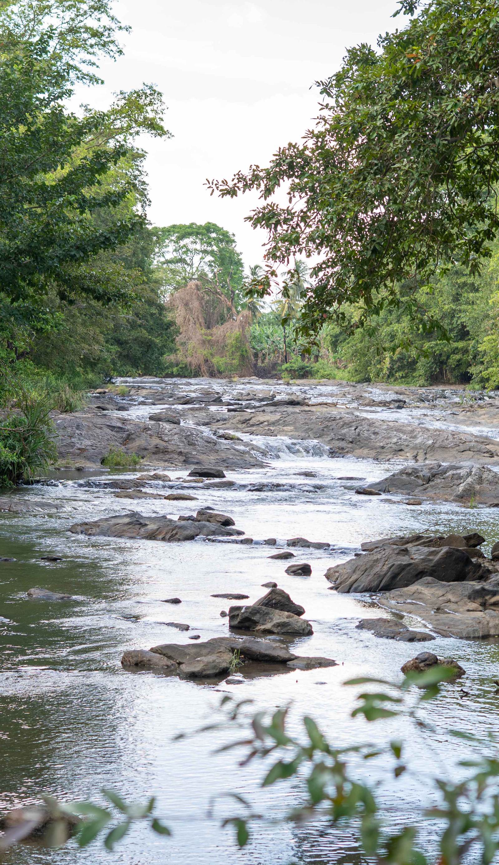 Silent Bungalow River Side