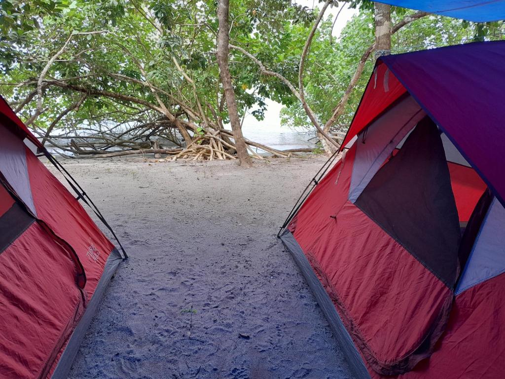 Discover Coiba Panama Tour