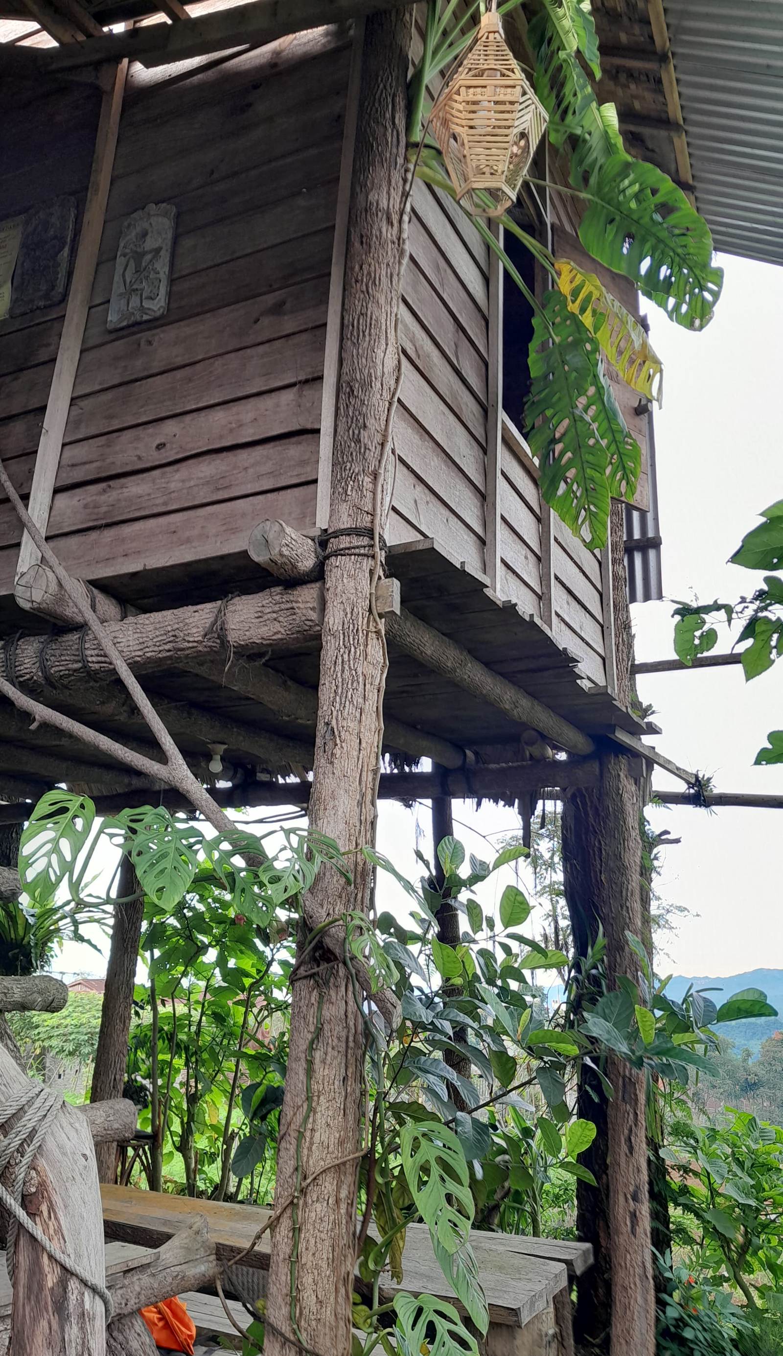 Harumi Dieng Homestay Syariah