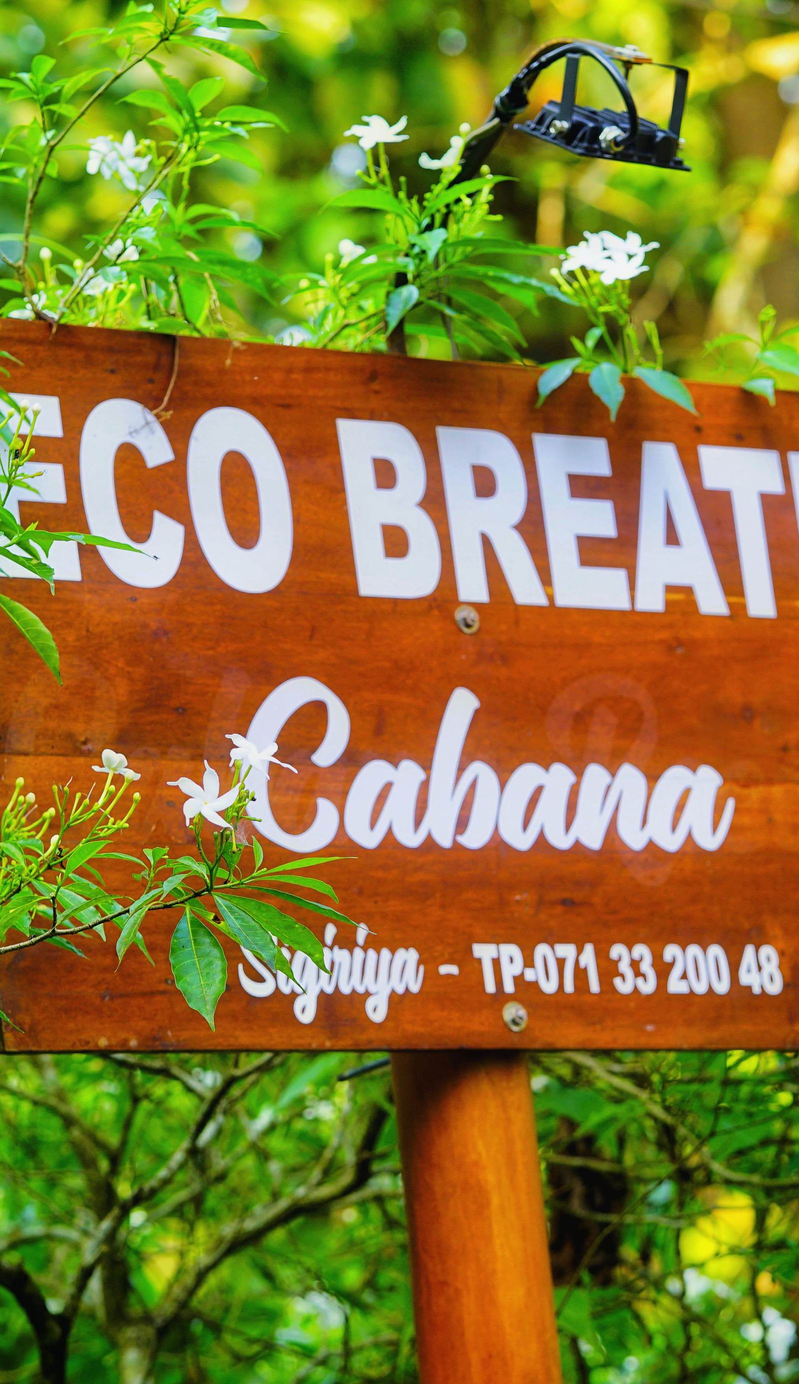 Eco Breath Cabana