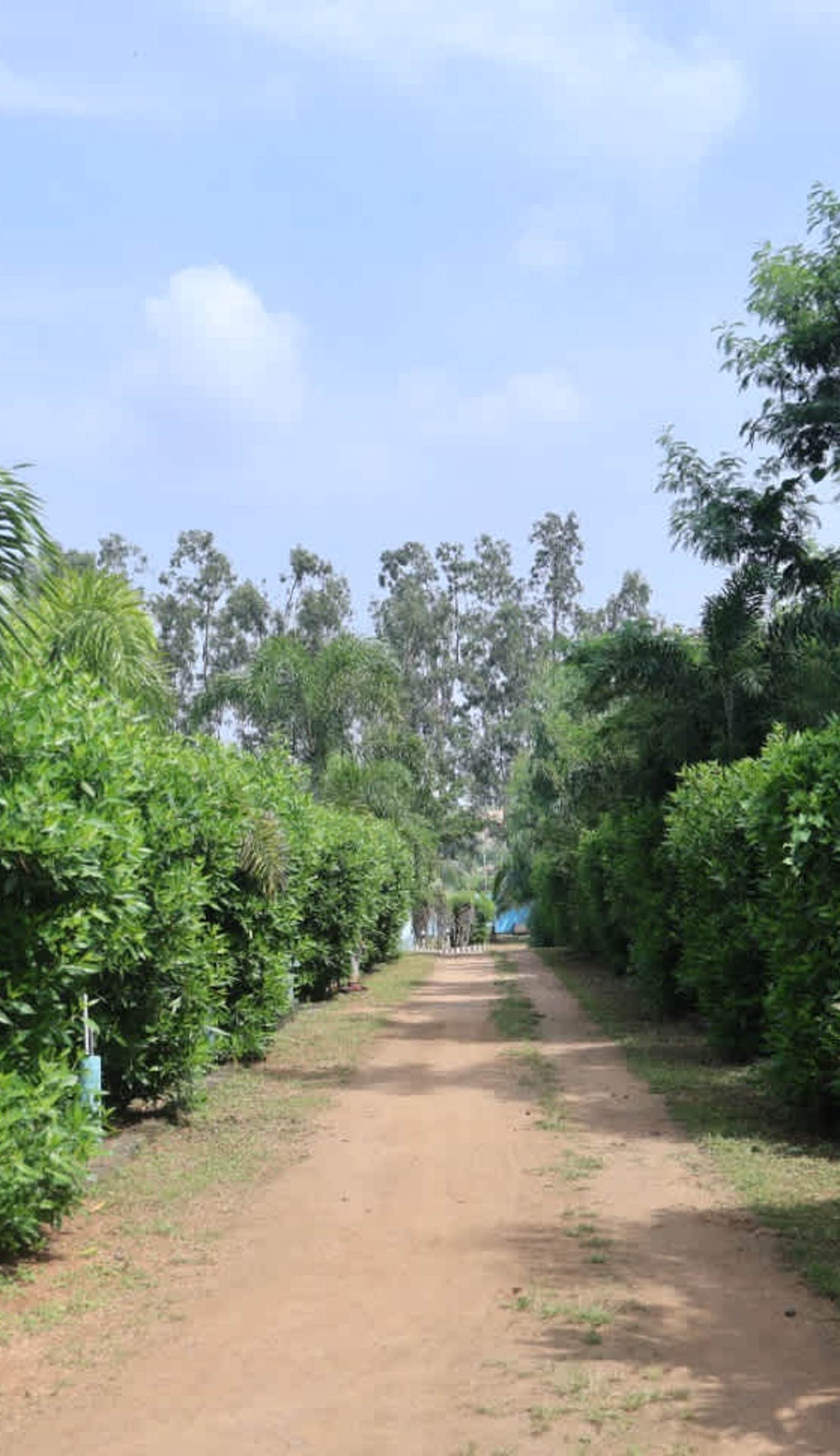 Hampi Blue Moon Resort