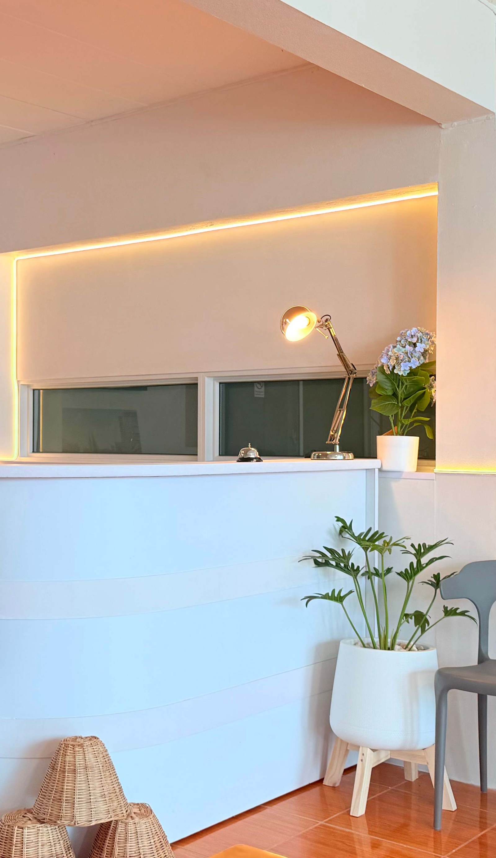 SOFTBOX HOSTEL