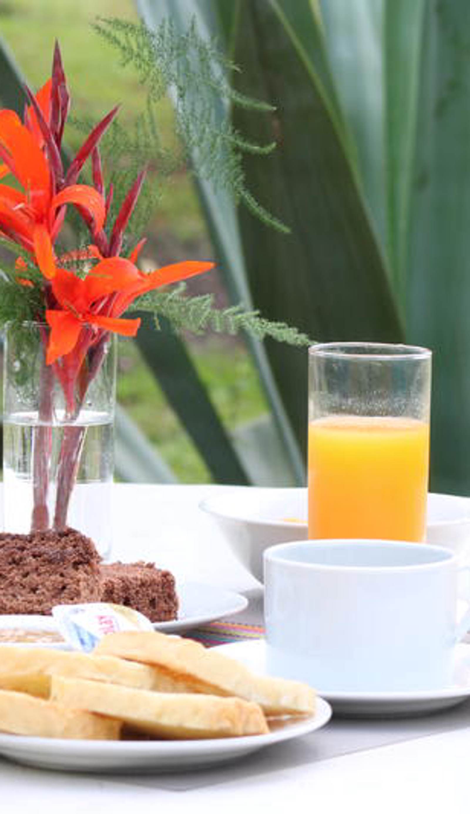 SIHOSTEL - Adventure San Ignacio
