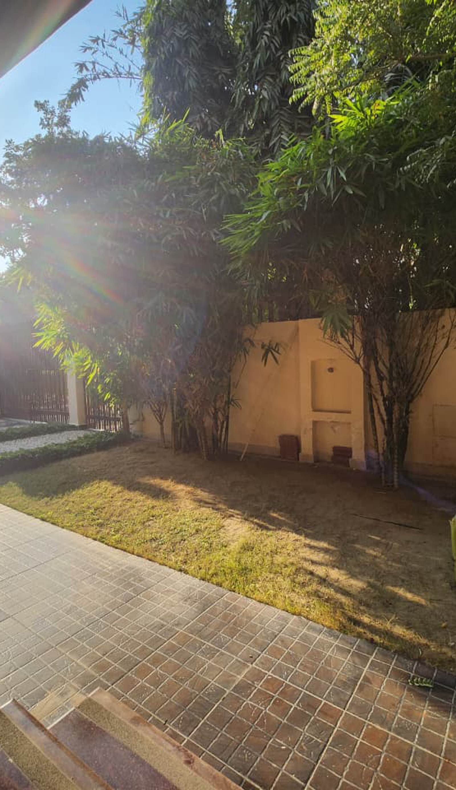 Luminary Dynasty House