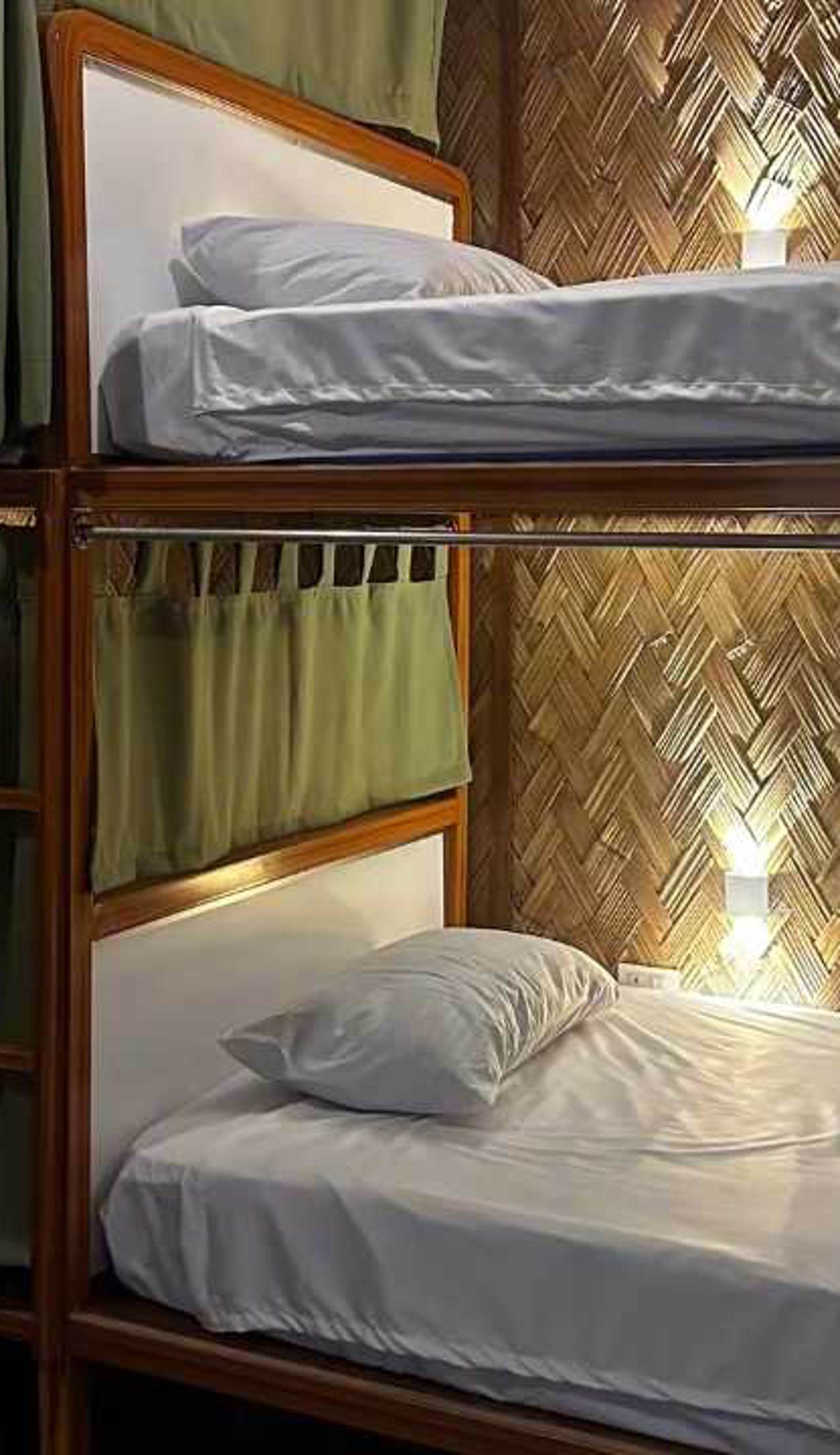 Jungle Hostel