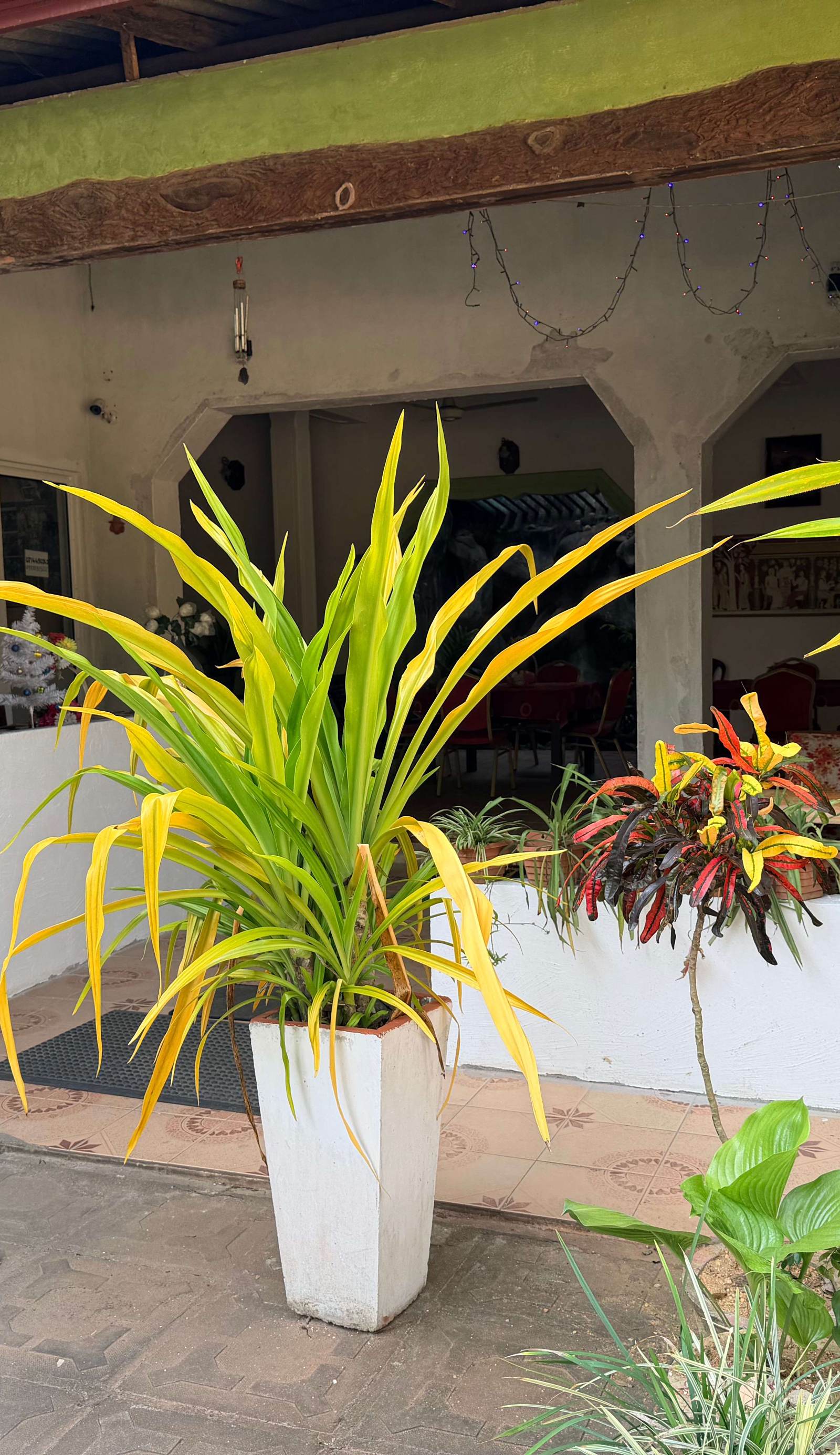 Suja Holiday Hostel