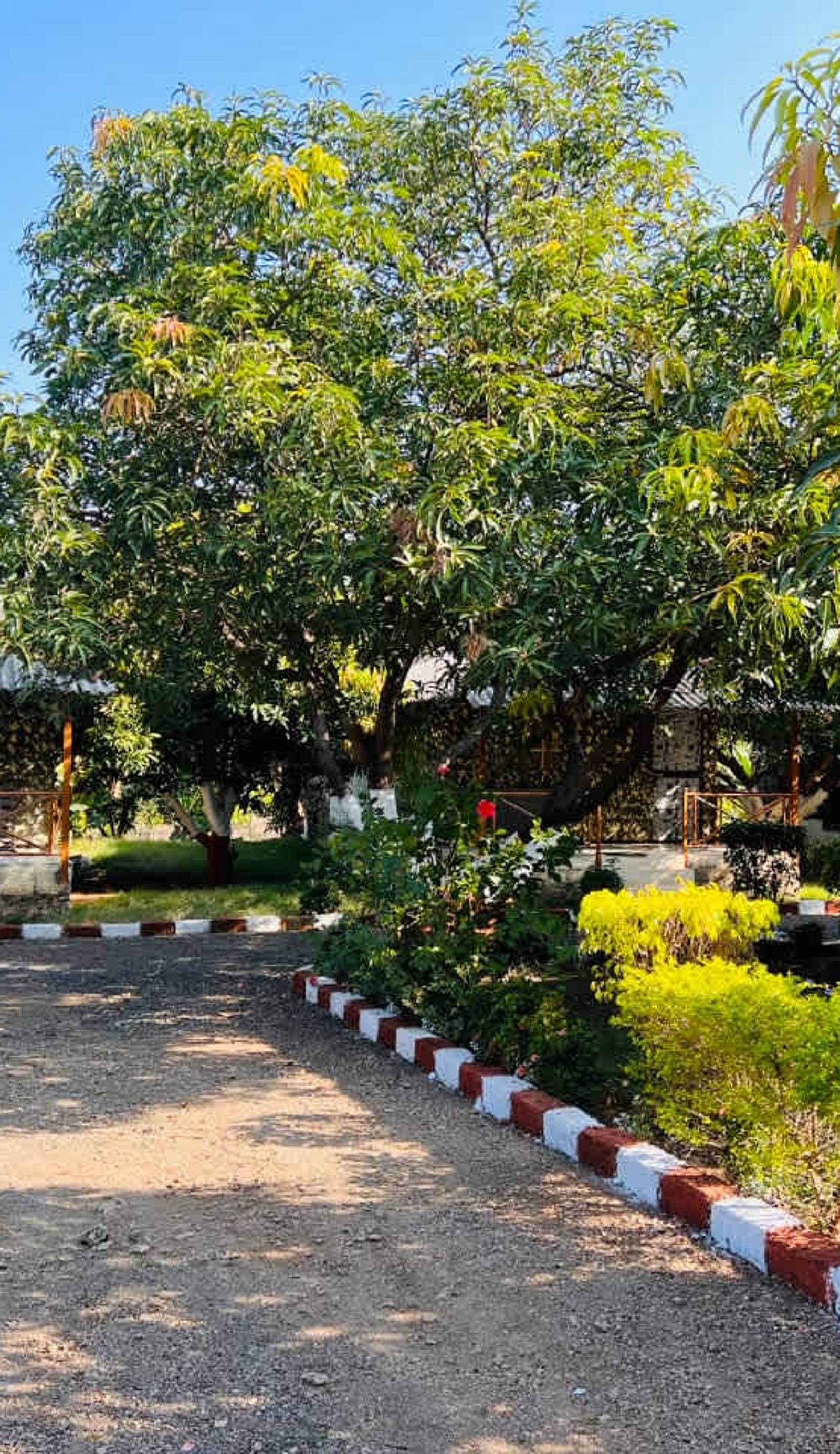 Pench Kulamama Safari Resort