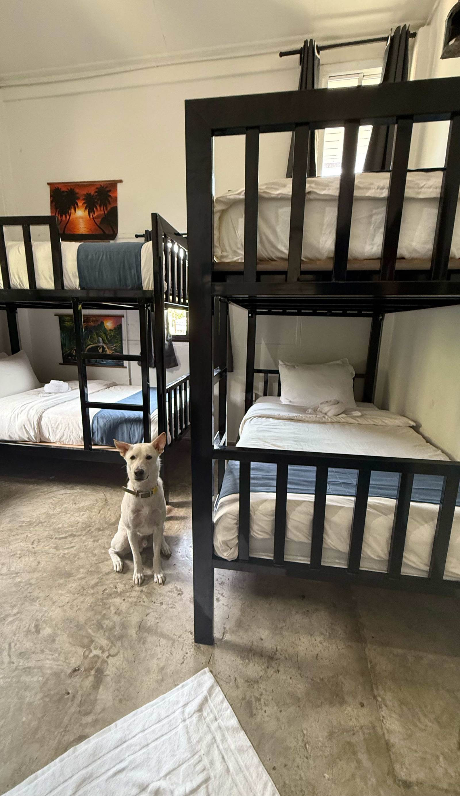 Nok Guesthouse & Hostel
