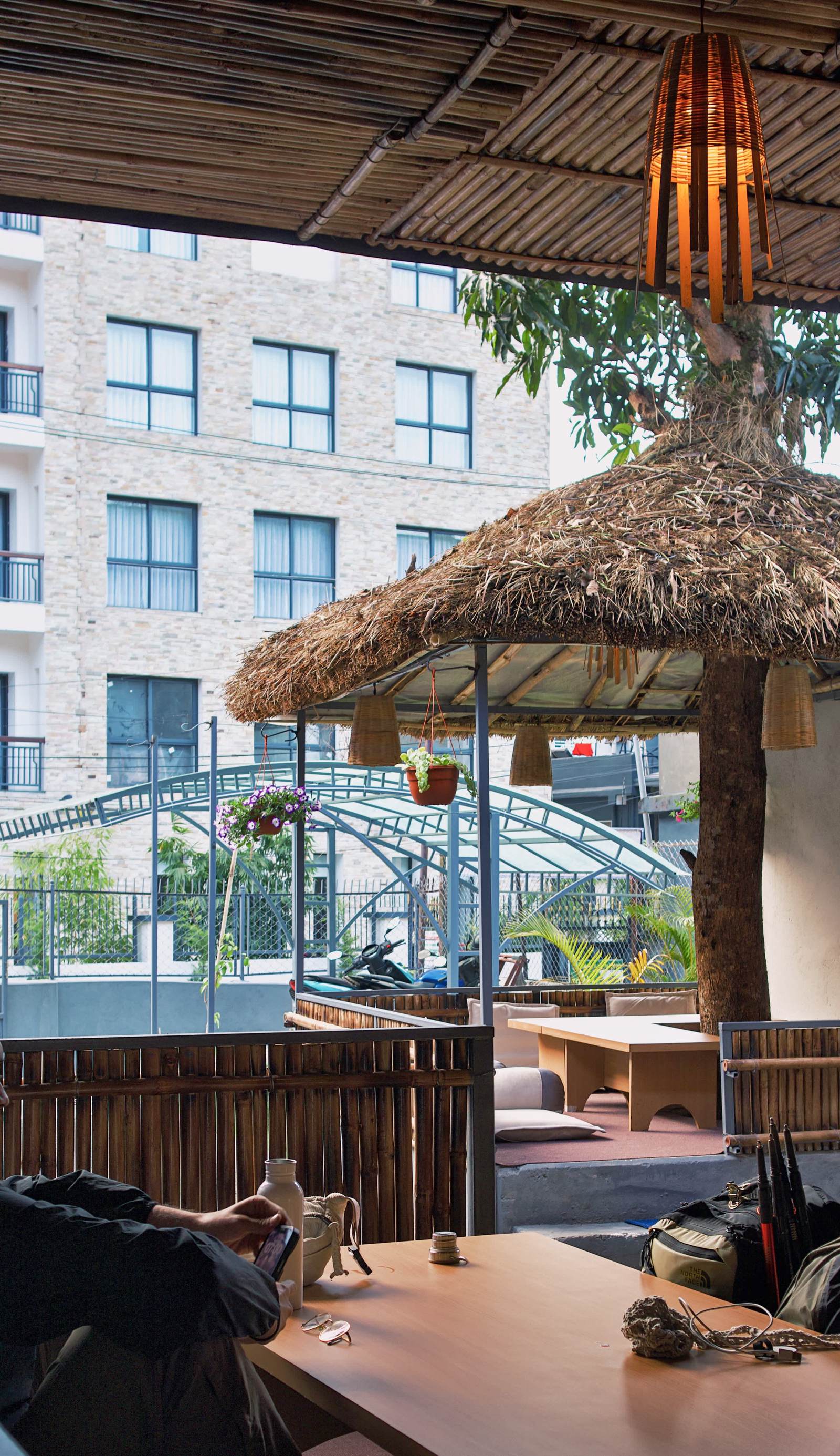 The Mango Tree Backpackers Hostel