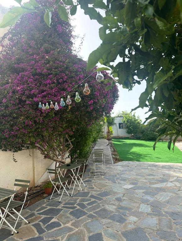 Hostl - Beds & Rooms - The Hostel Inn Paphos