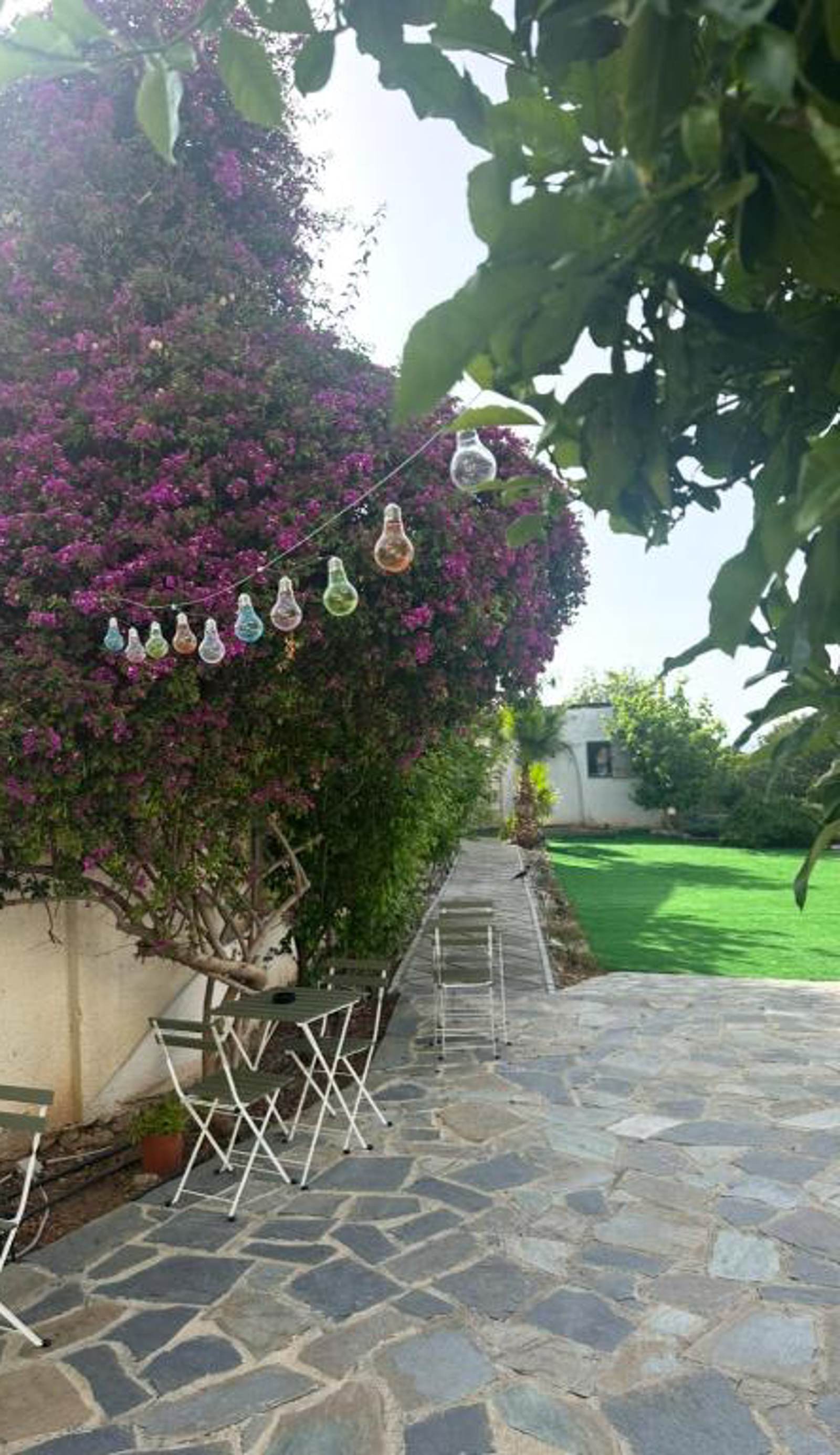 Hostl - Beds & Rooms - The Hostel Inn Paphos