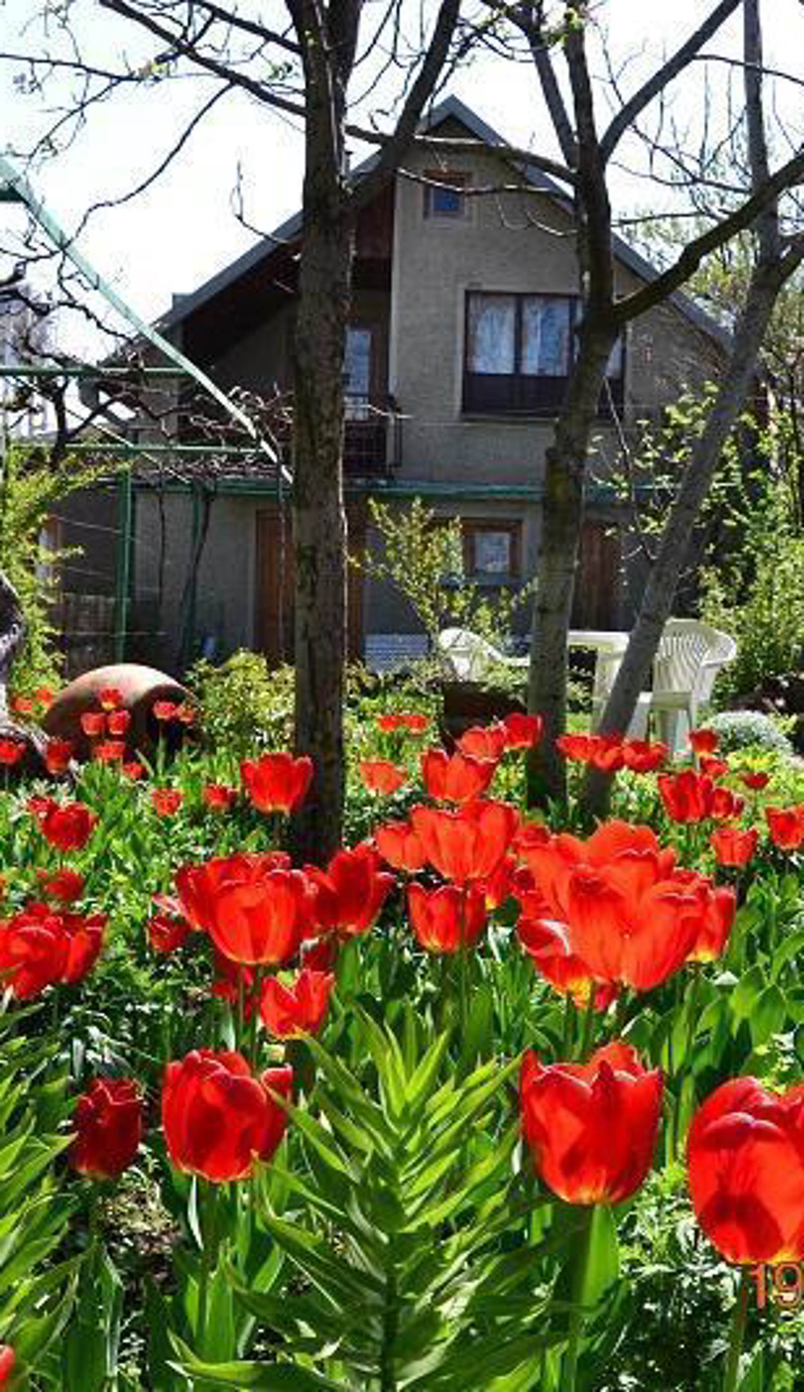 Milorava's Guest House & Wine Cellar
