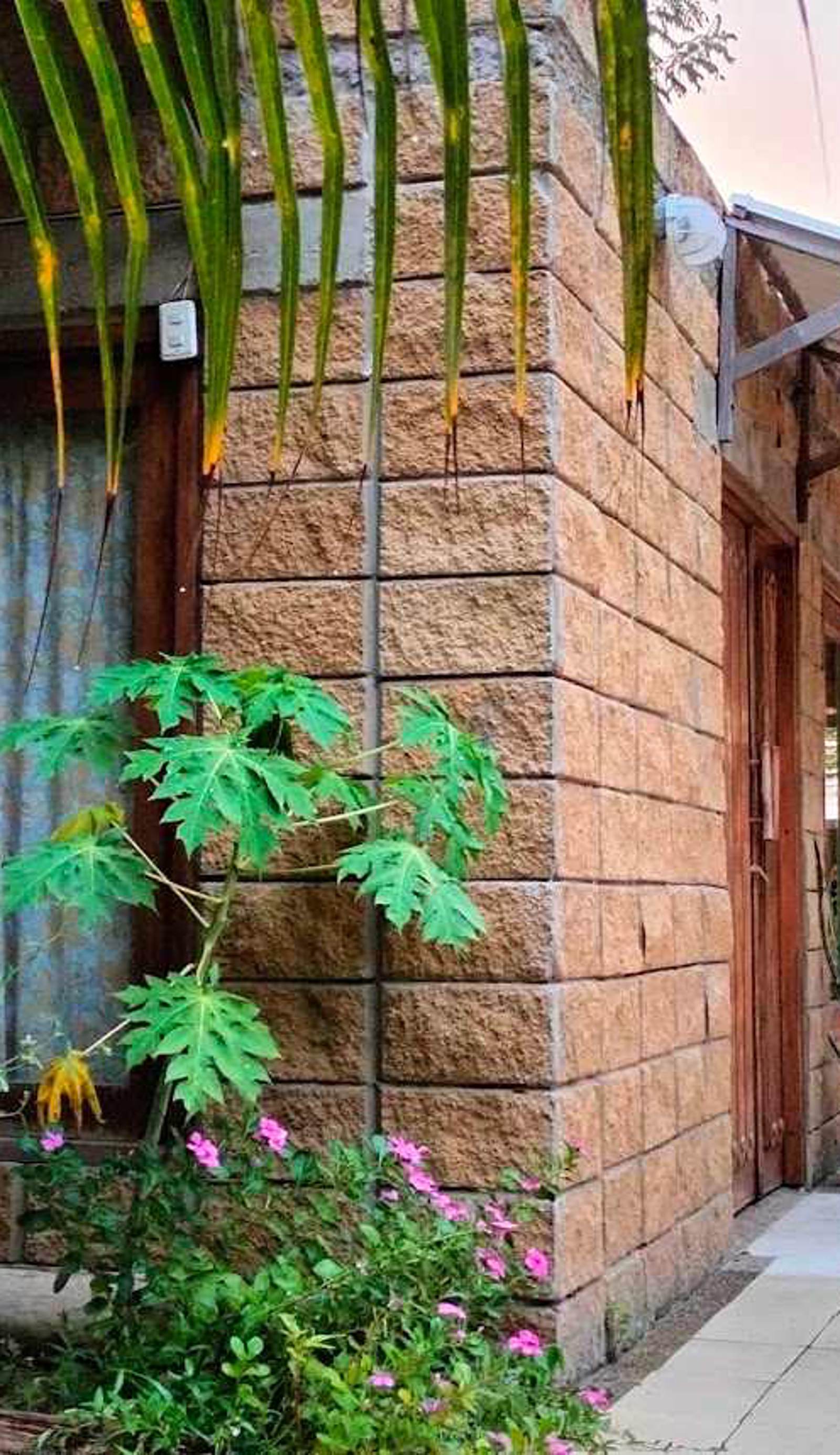 Tambo Marina Eco Hostal