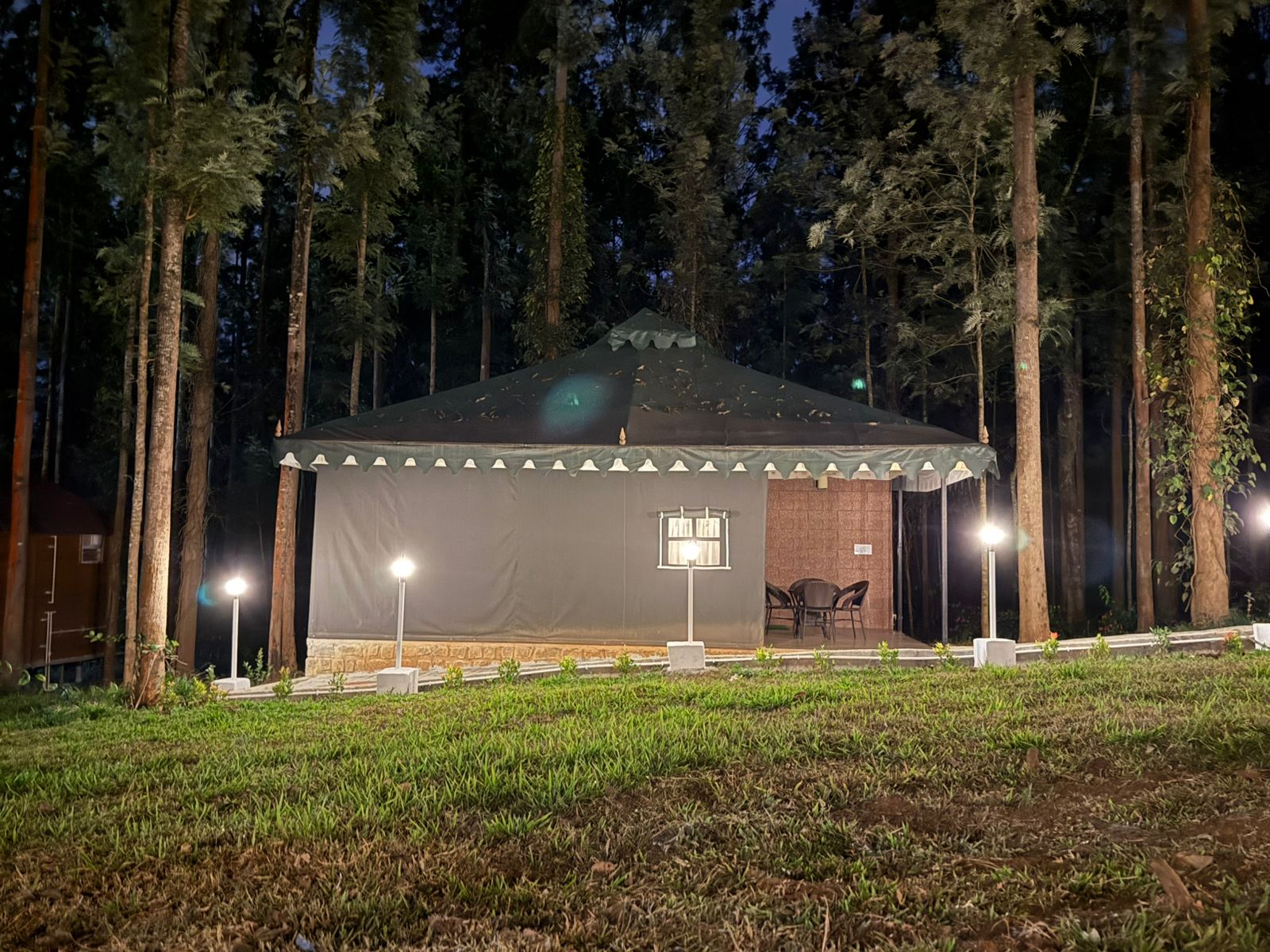 The Wild Deck - Chikkamagaluru