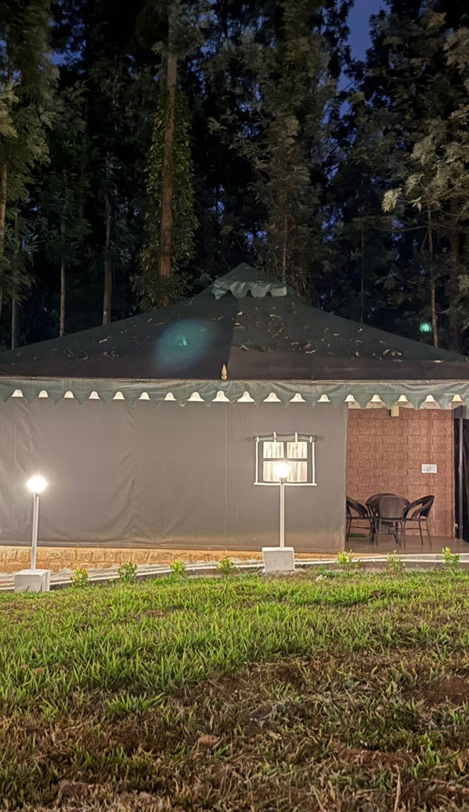 The Wild Deck - Chikkamagaluru