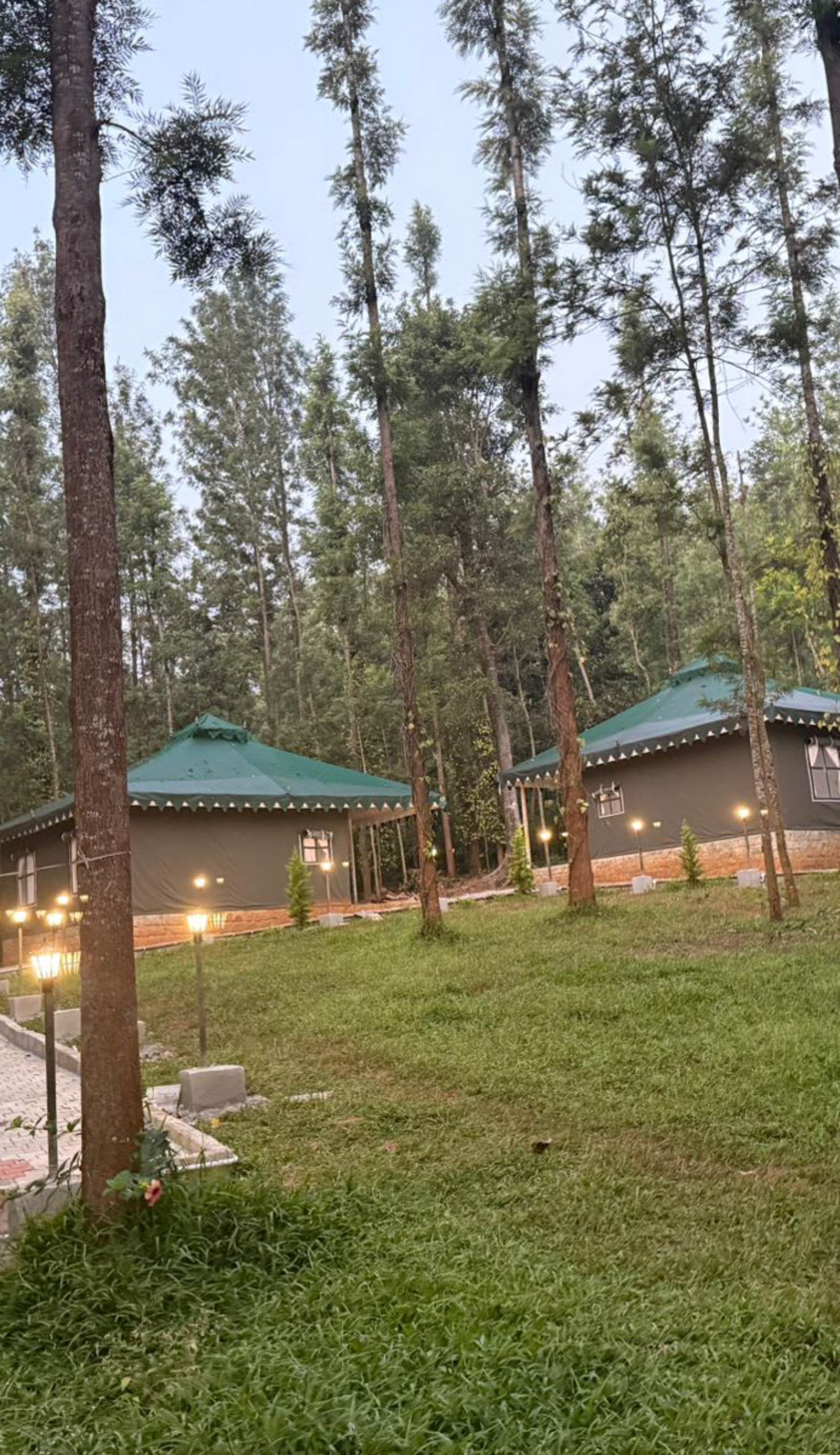 The Wild Deck - Chikkamagaluru