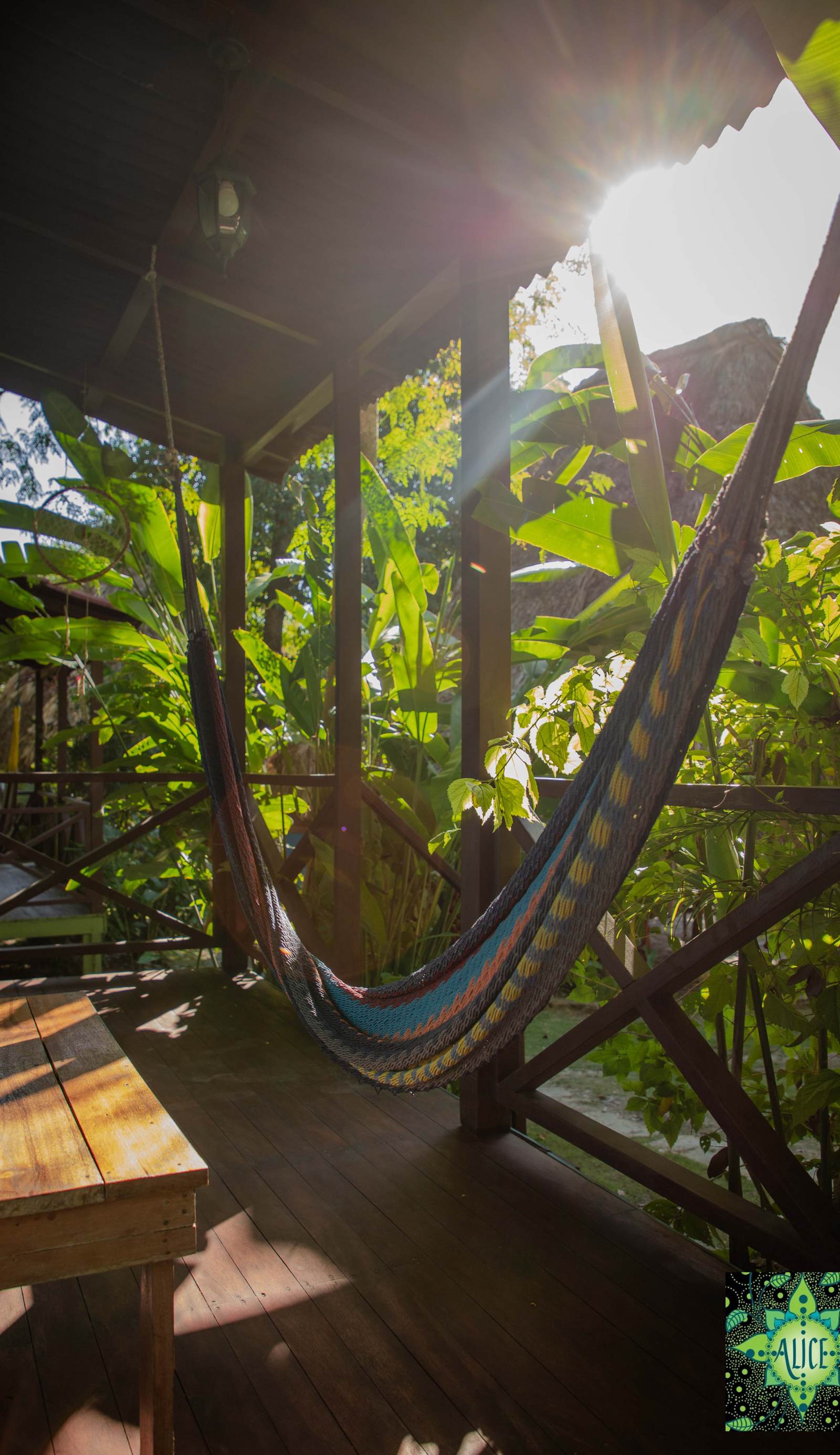 Alice Guesthouse