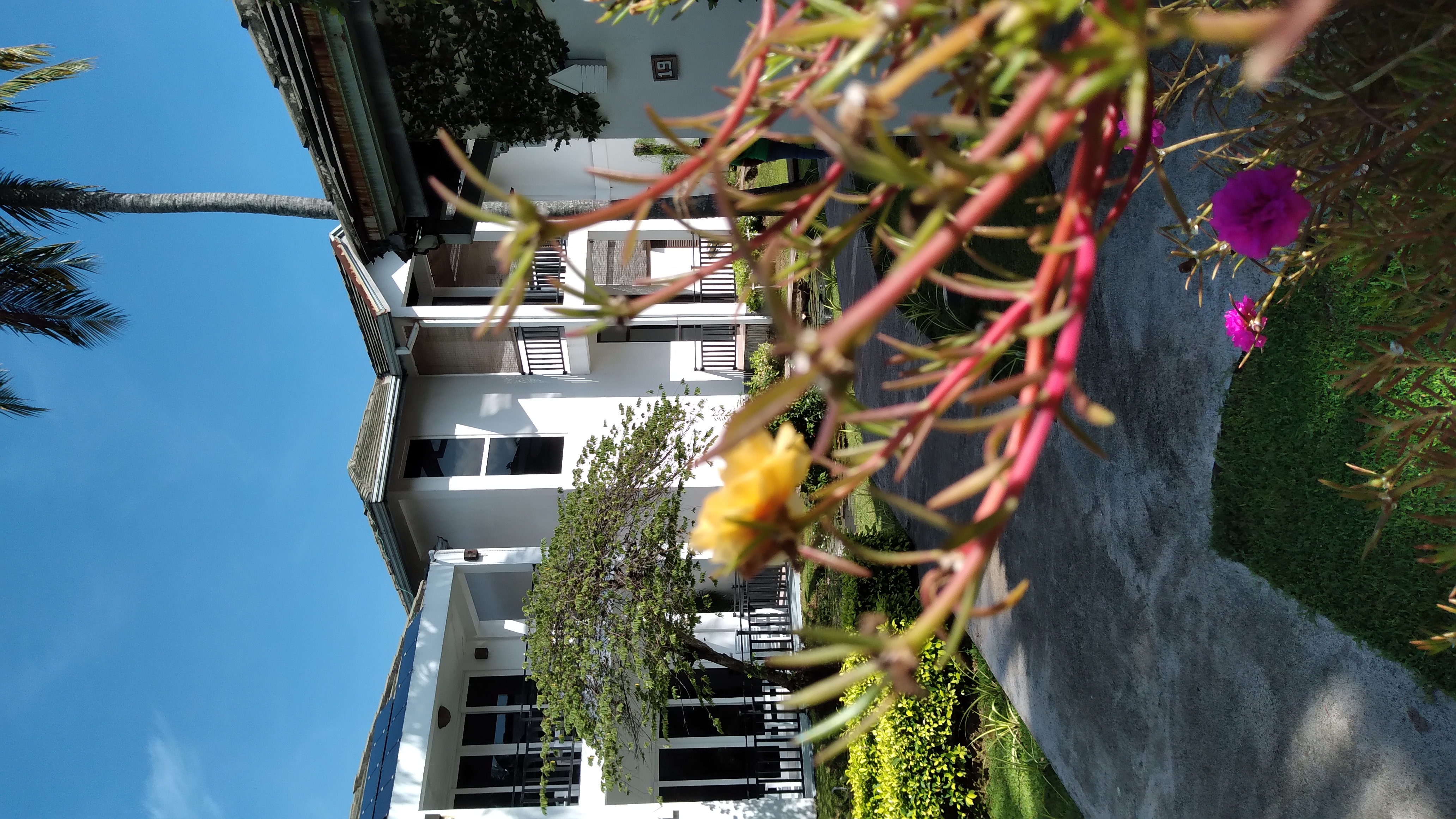 Amaluna Hostel