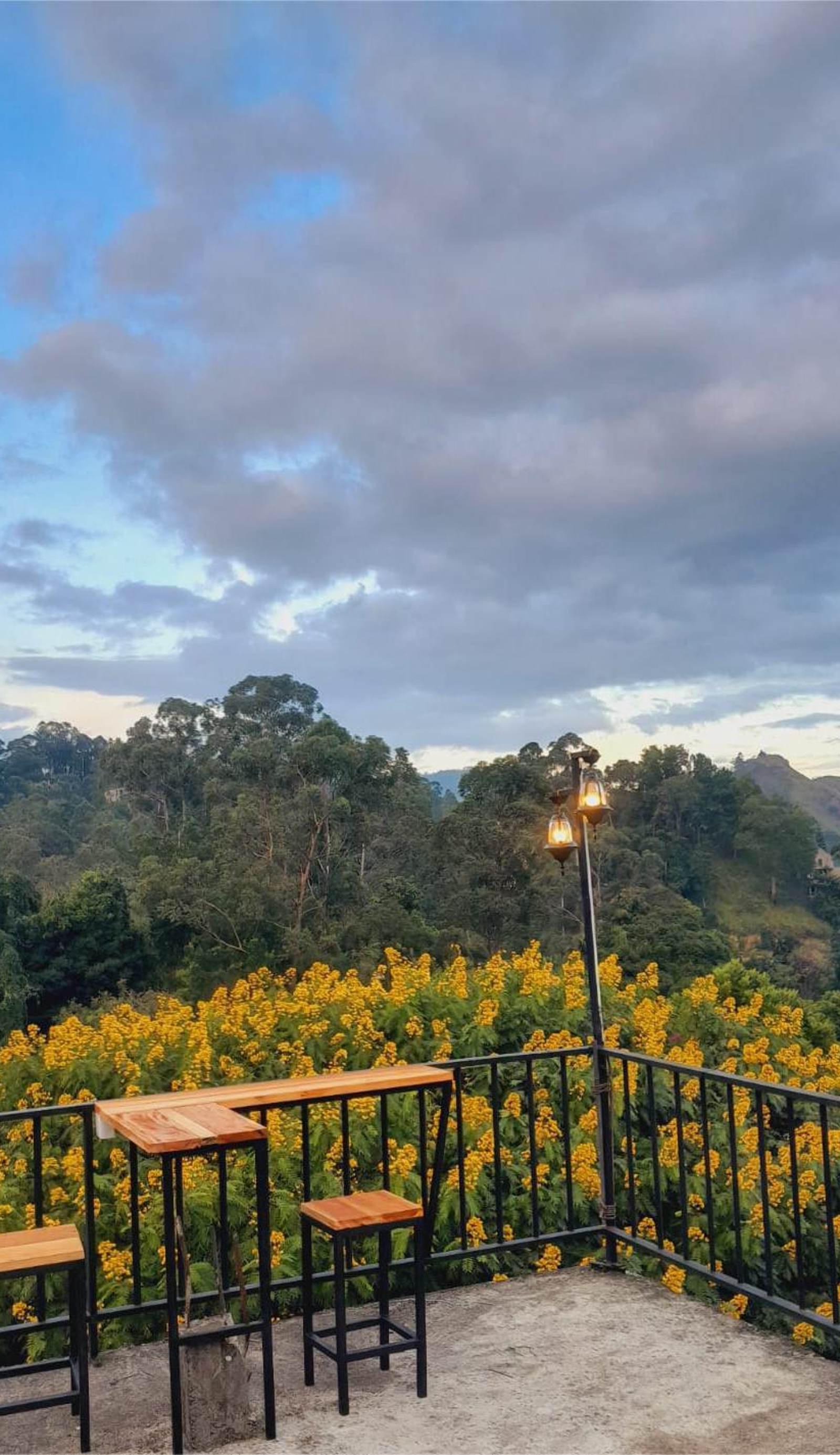 Nature Mount Hostel